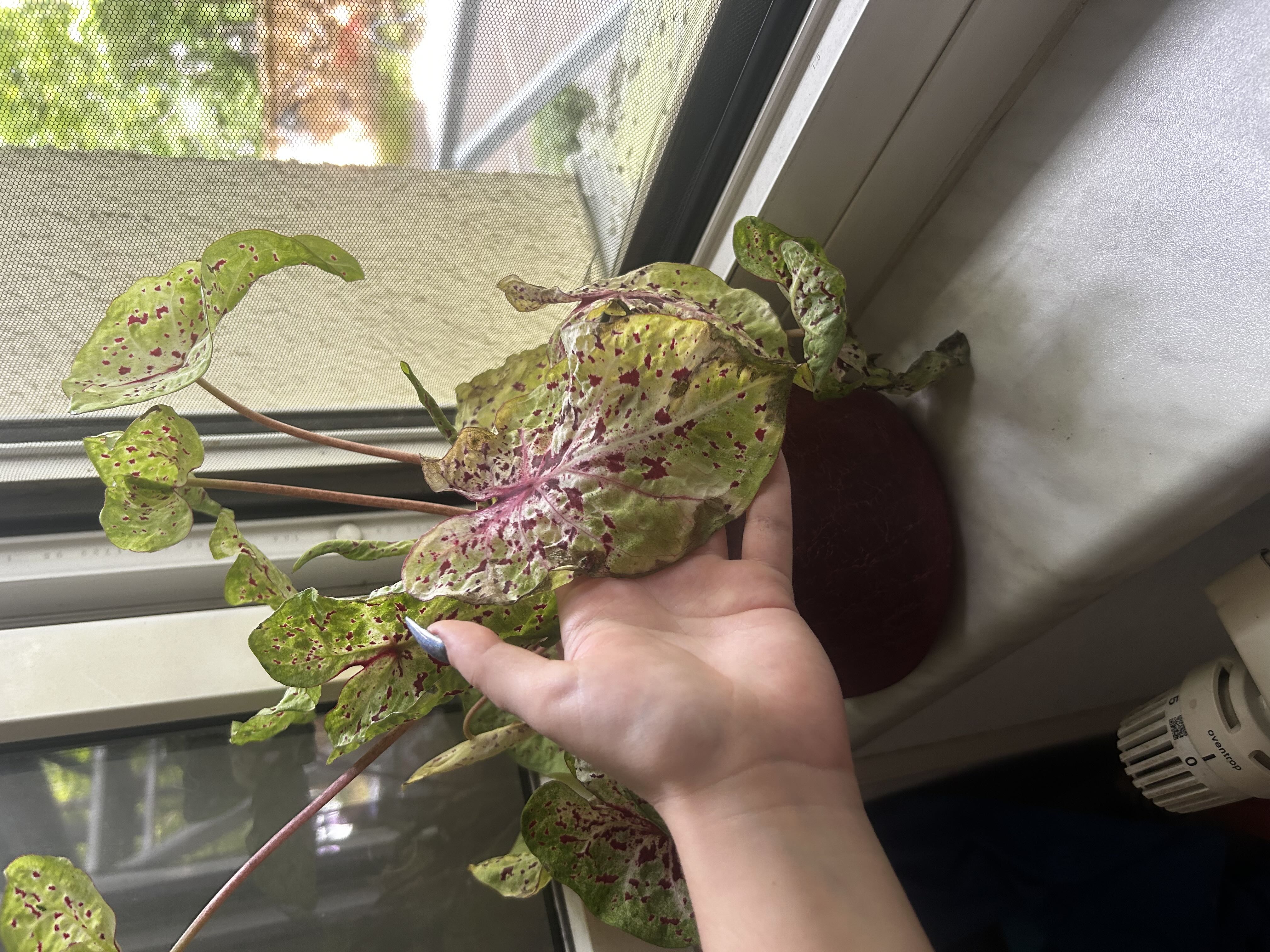 Photo from the post