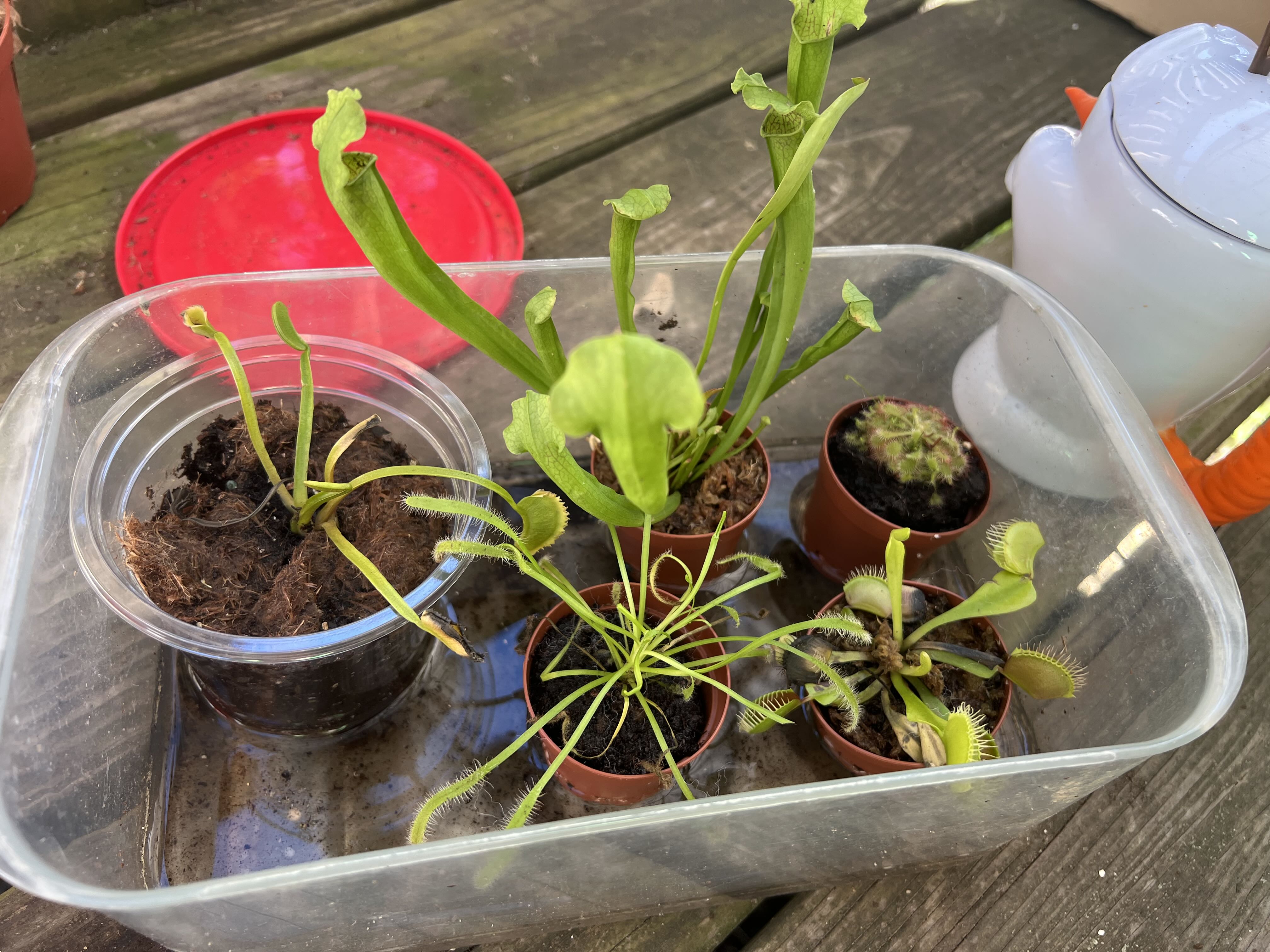 Photo from the post