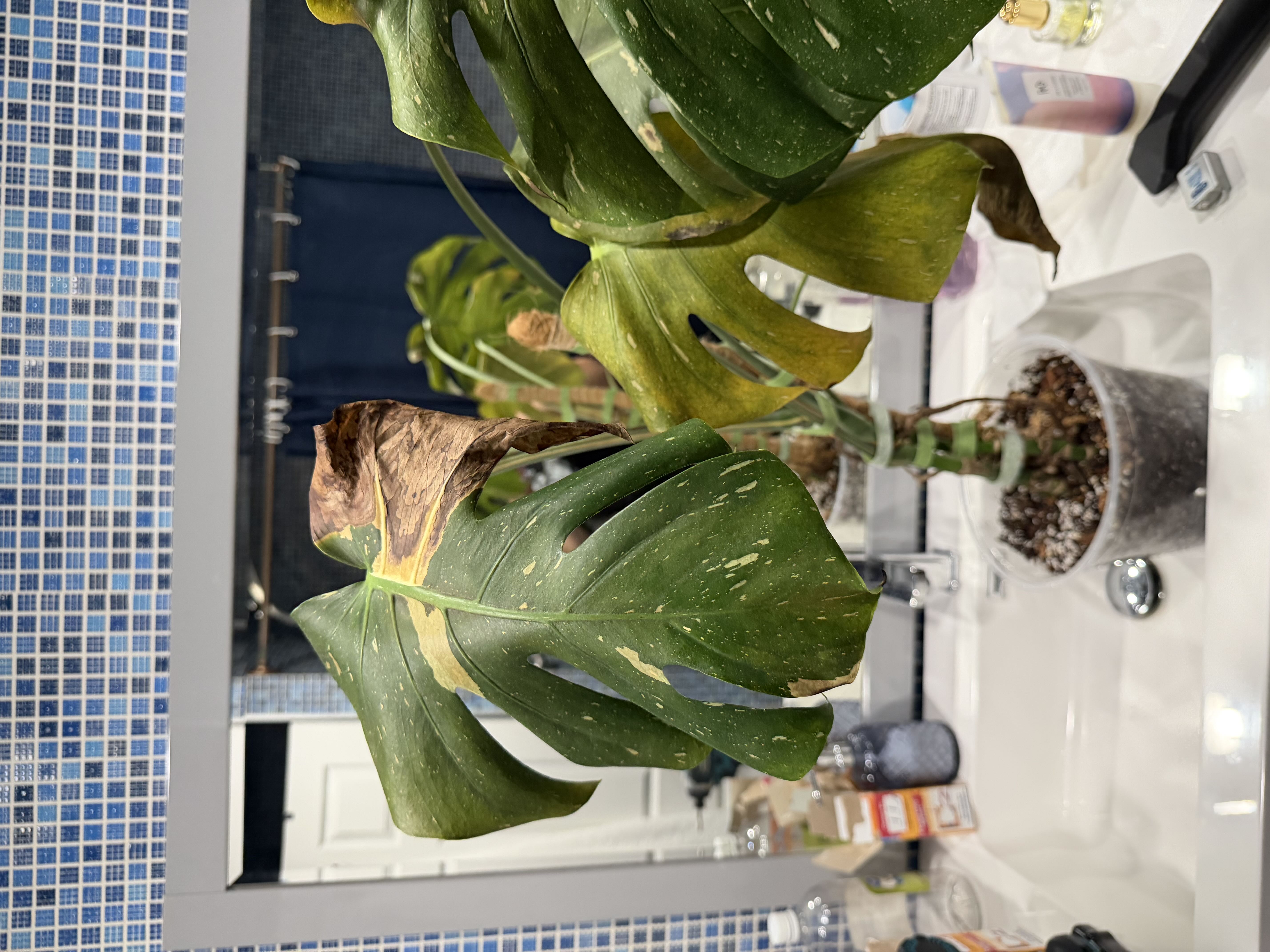 Photo from the post
