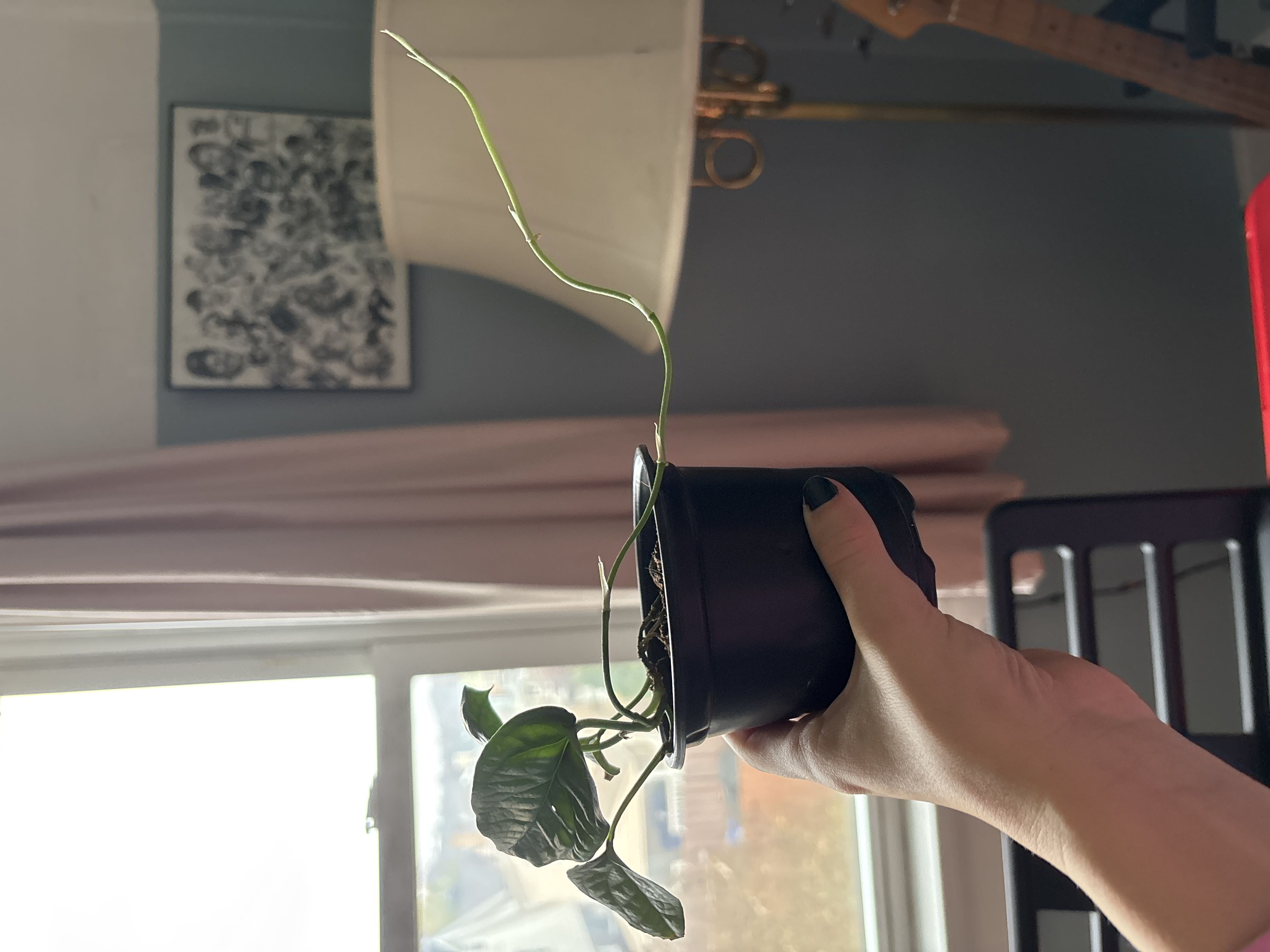 Photo from the post