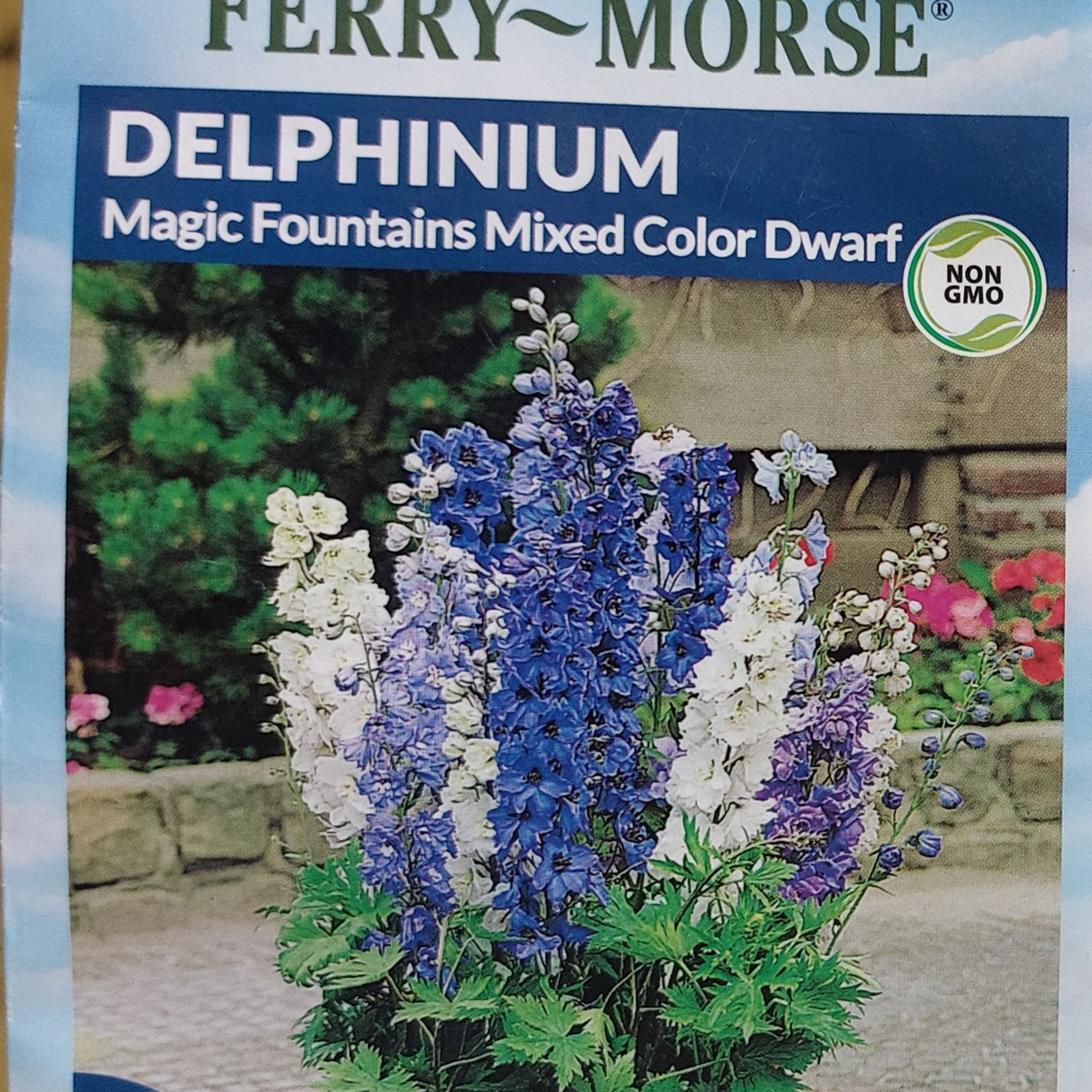 Photo of the plant species Dwarf Larkspur by @HighestBluerose named Lux on Greg, the plant care app