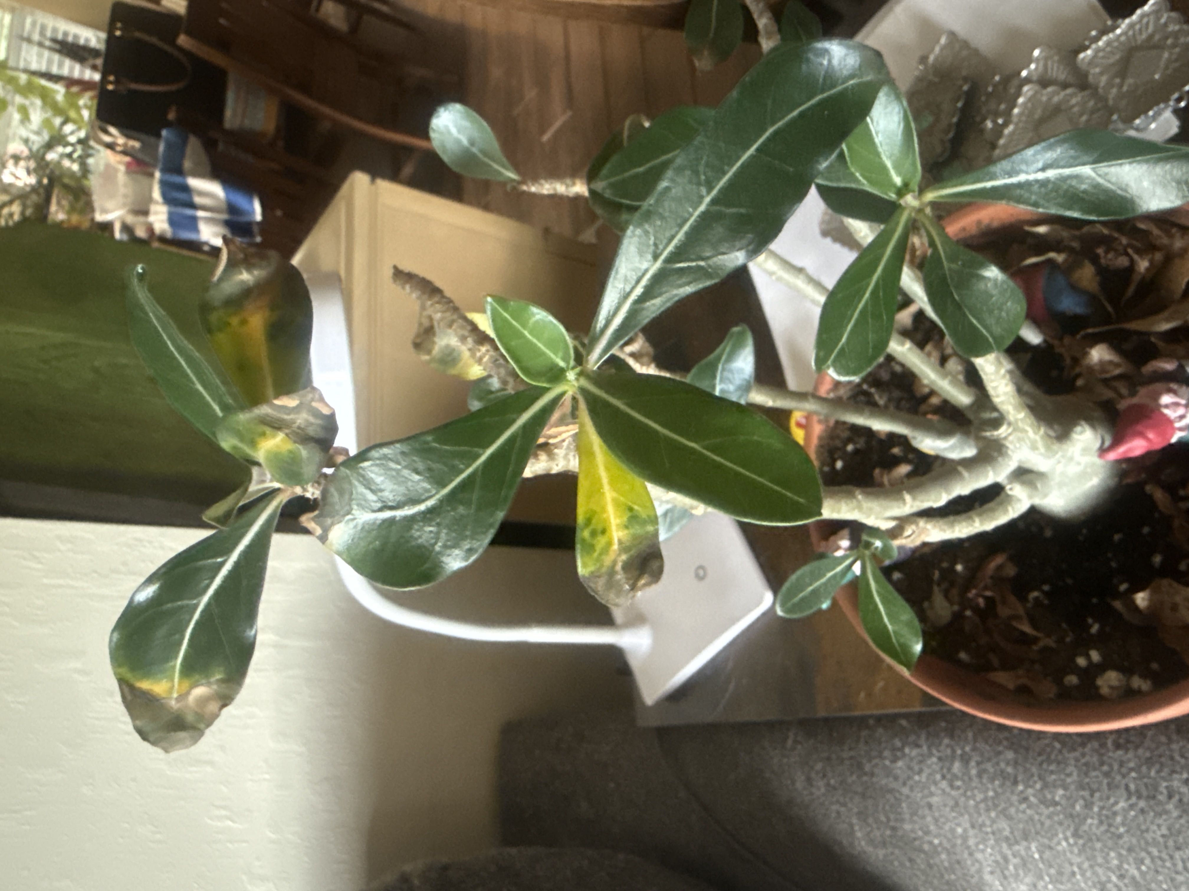 Photo from the post