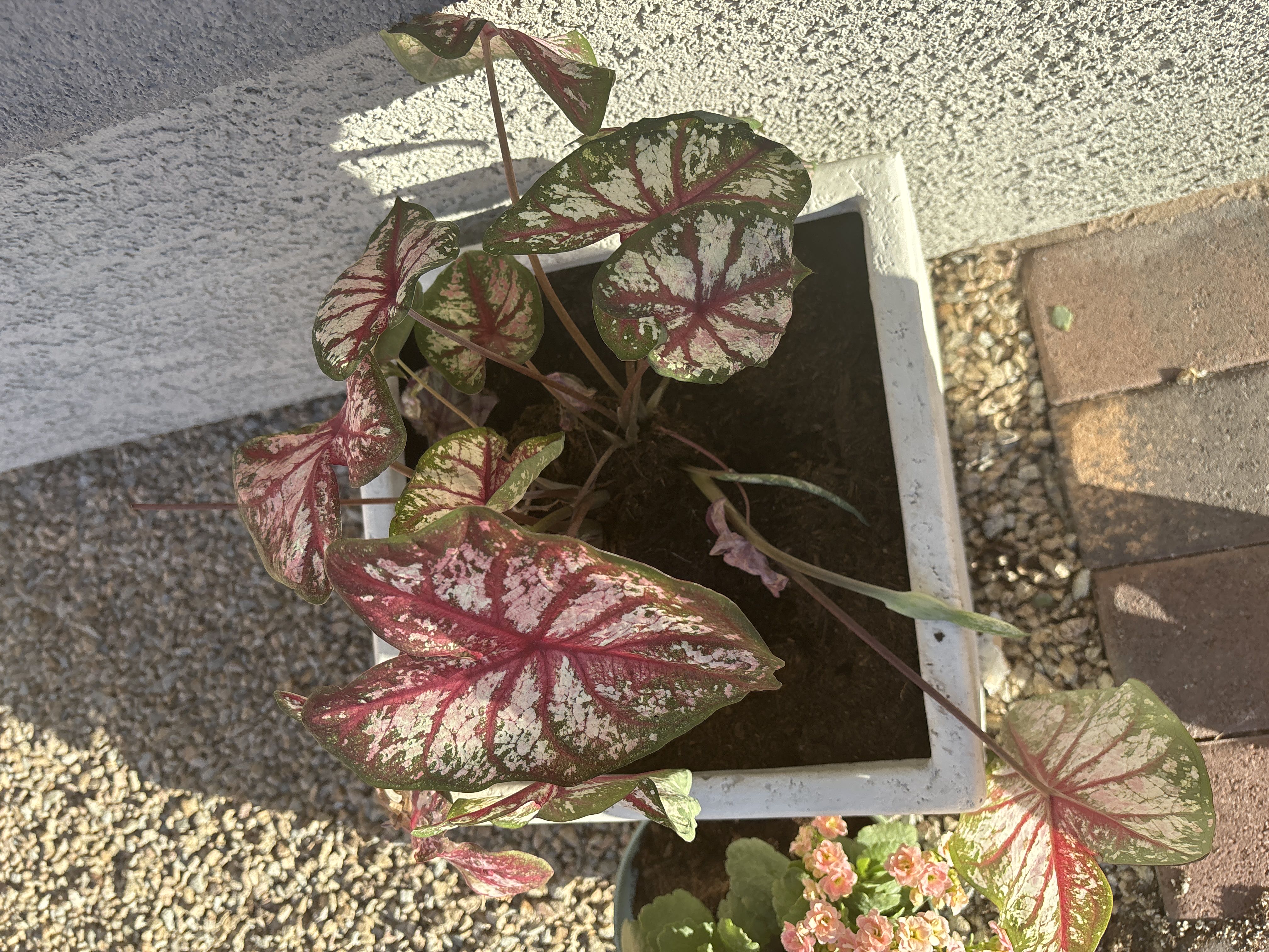 Photo from the post