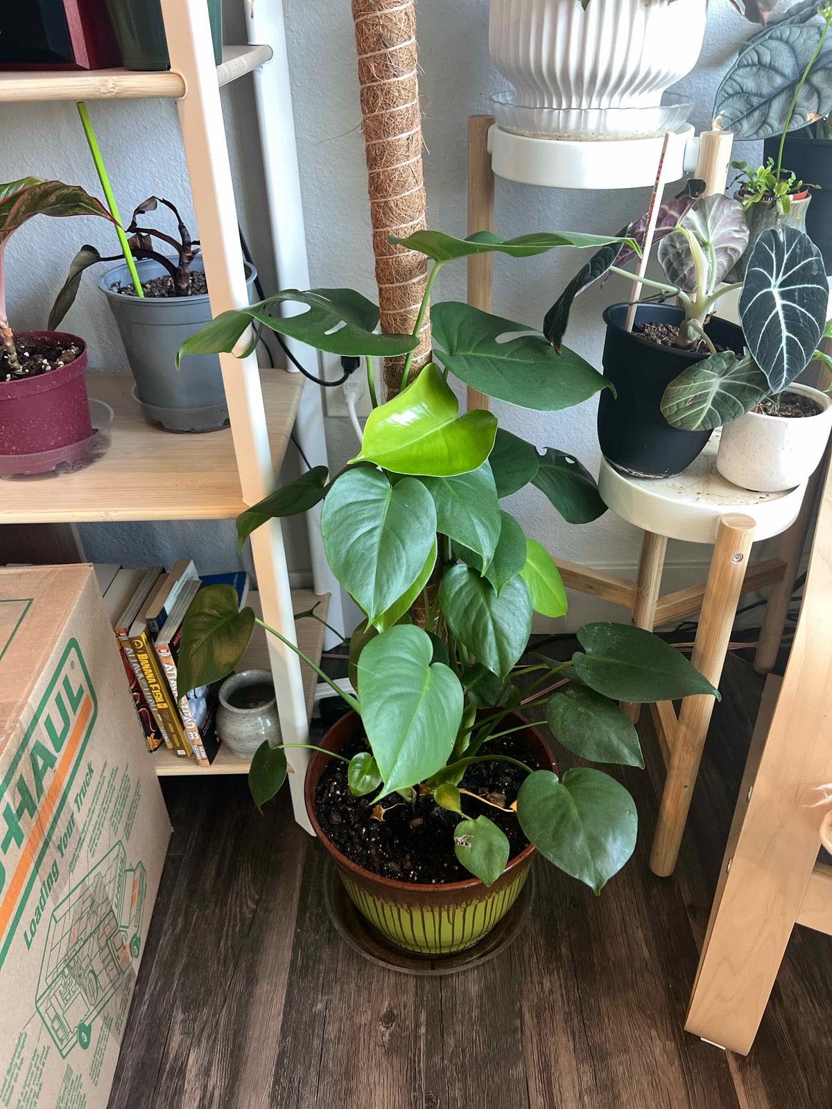 Photo from the post