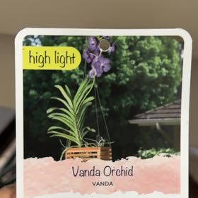 Photo of the plant species Vanda Orchid by @AtypicalShallot named Naomi on Greg, the plant care app