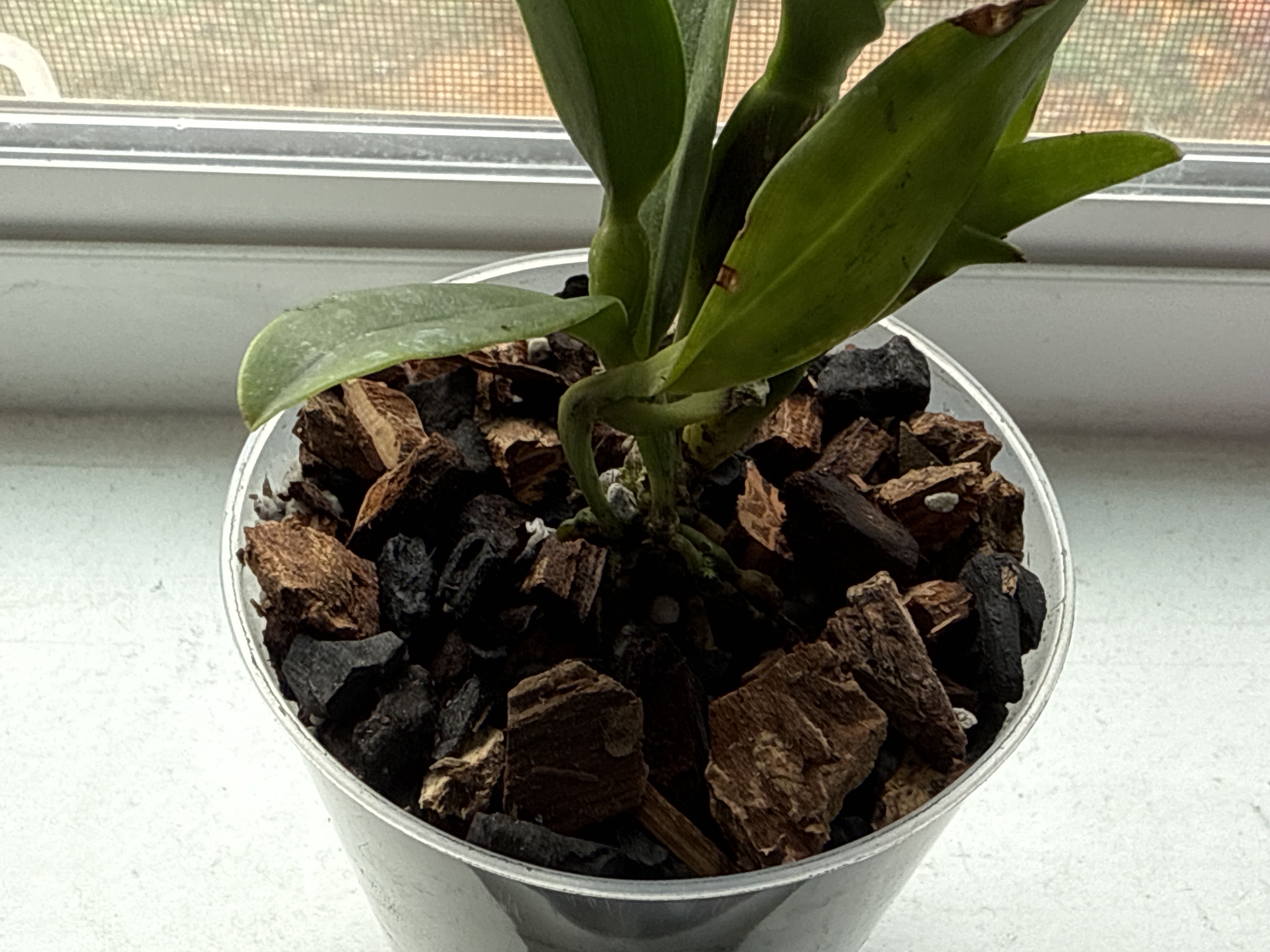 Photo from the post