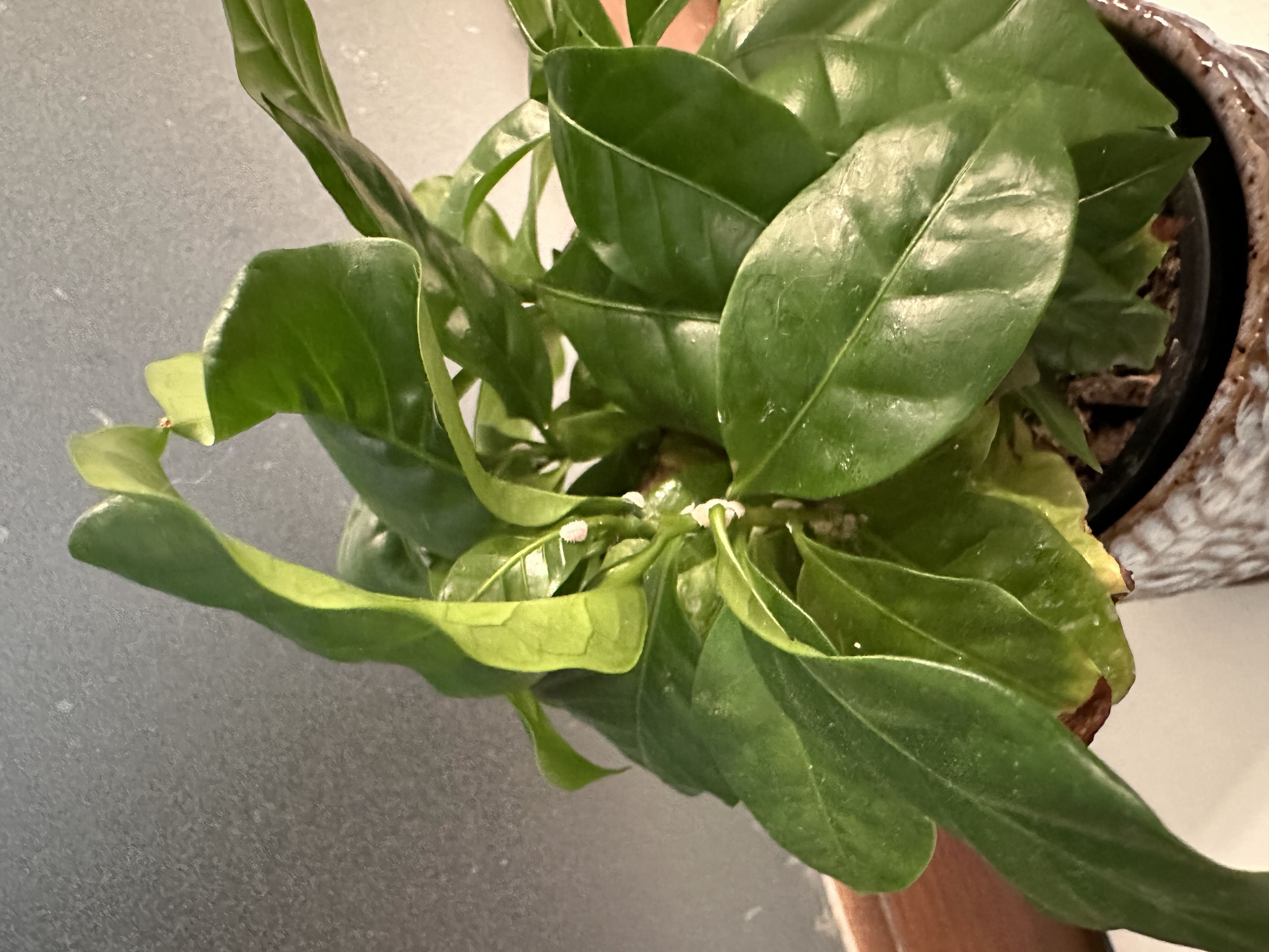 Photo from the post