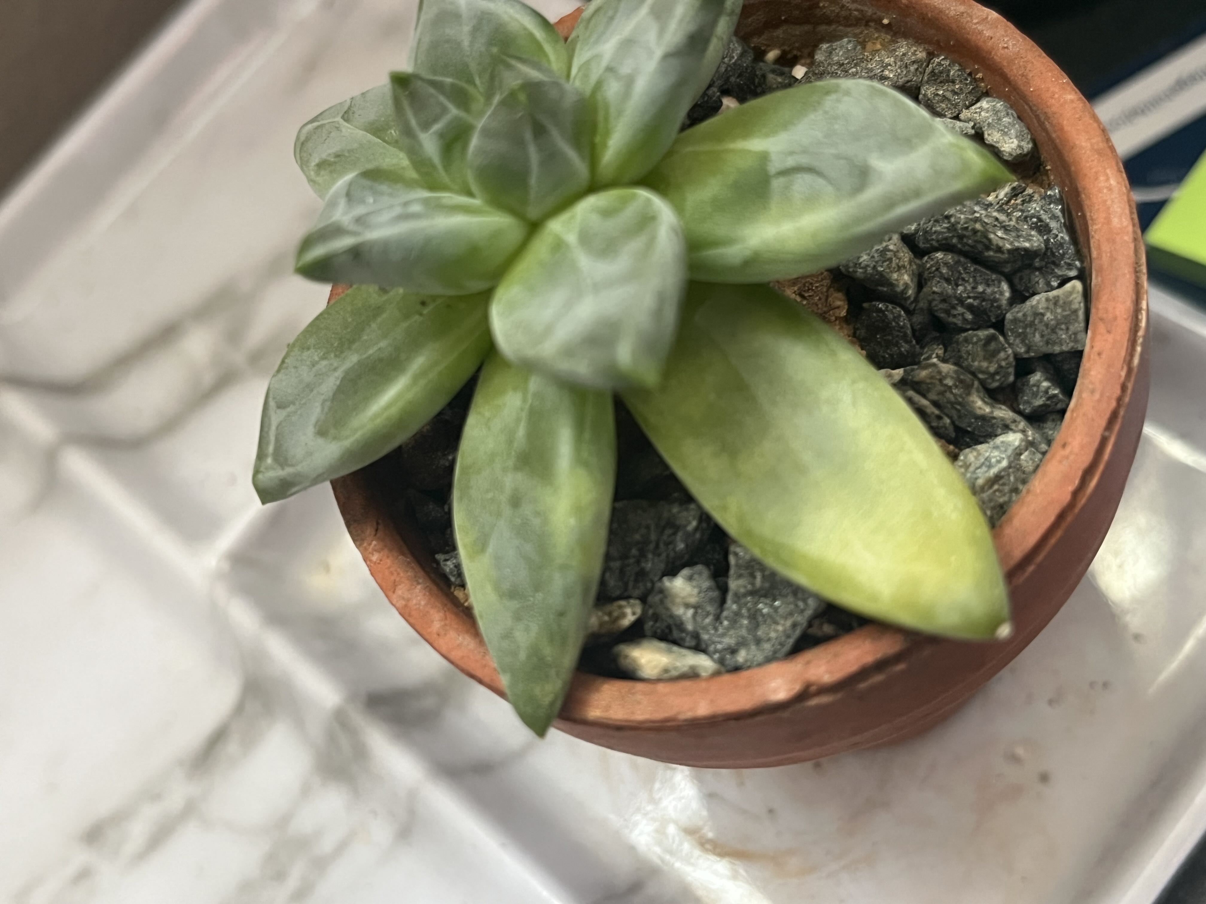 Photo from the post