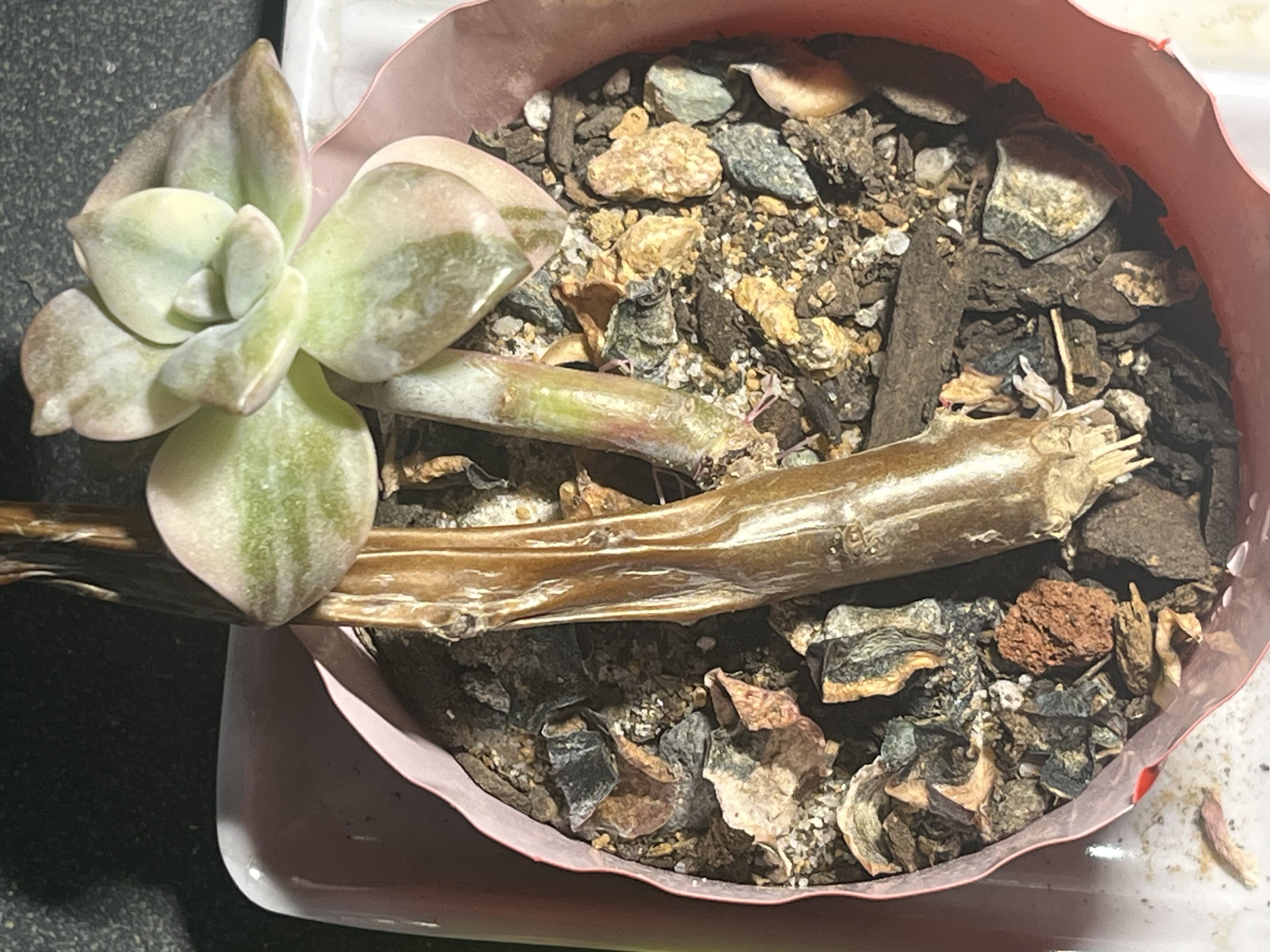 Photo from the post