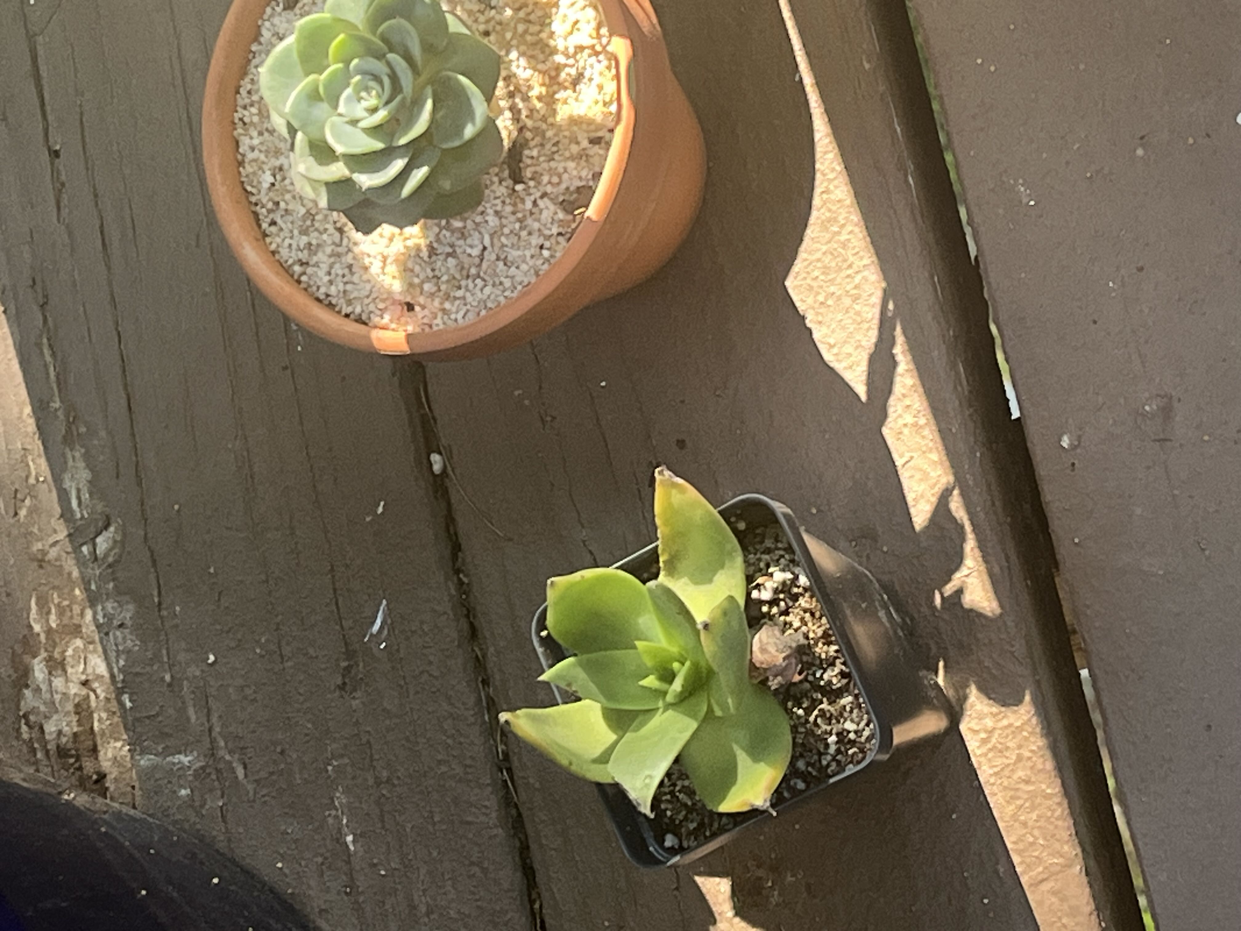 Photo from the post