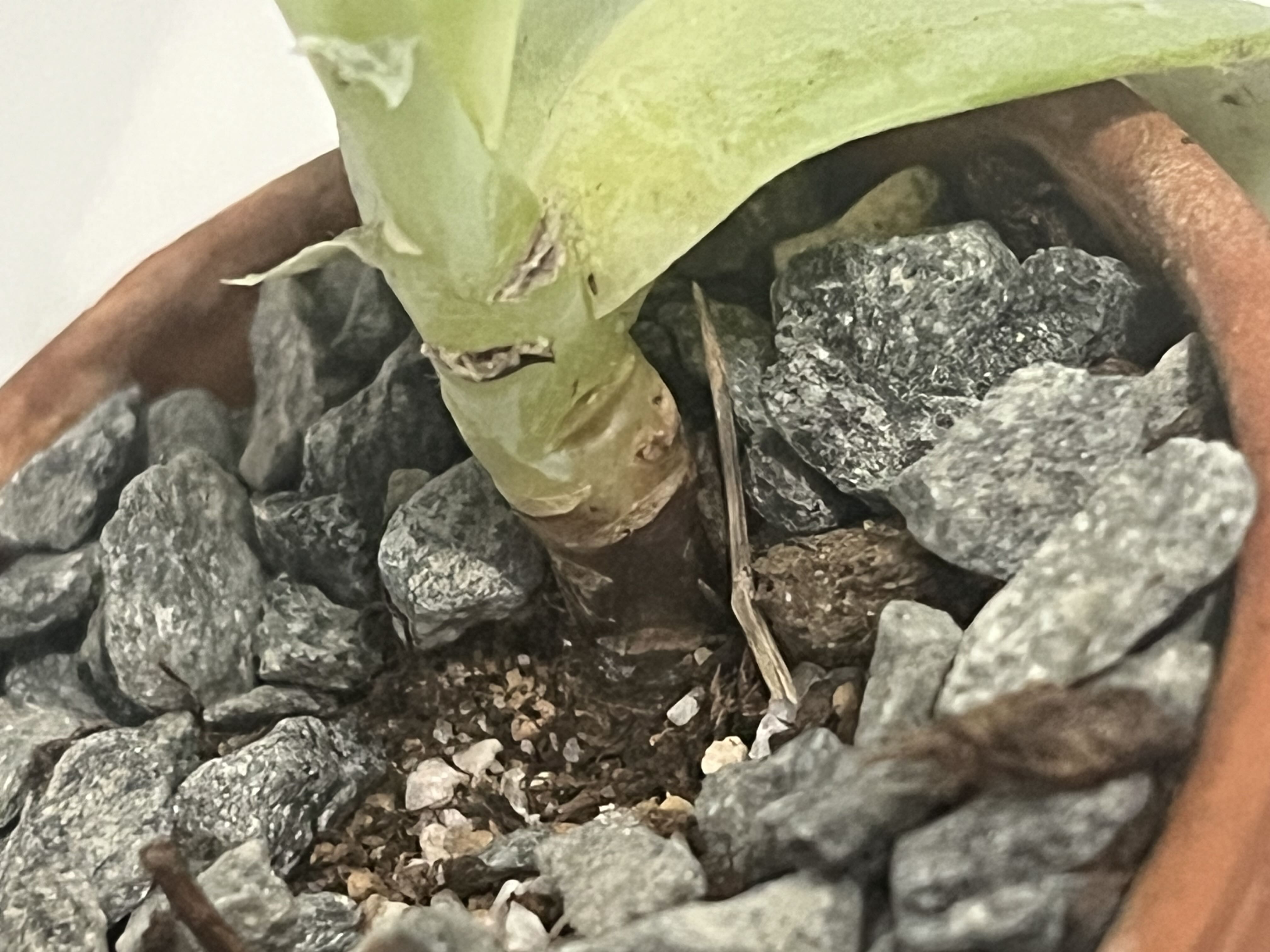 Photo from the post