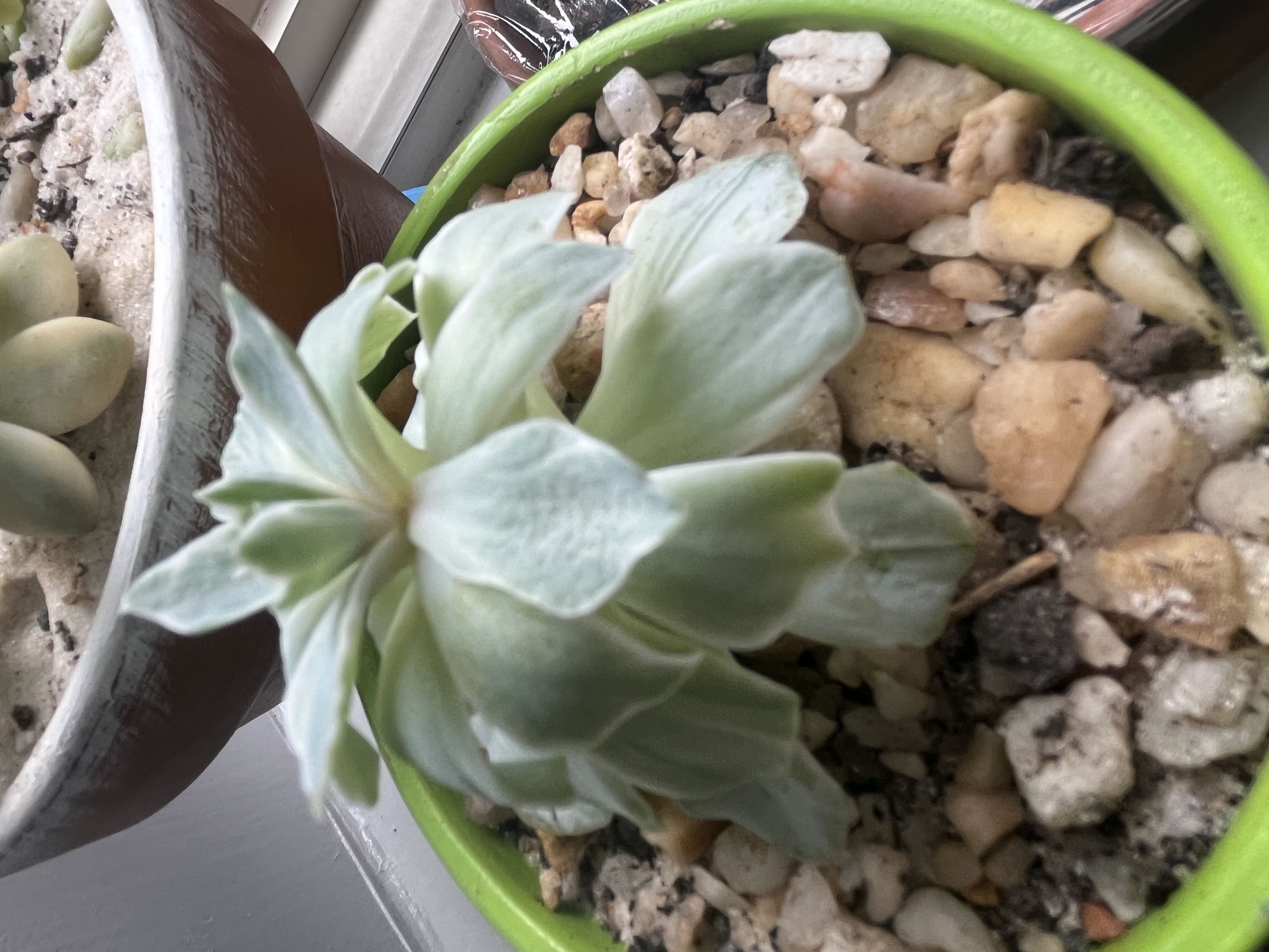 Photo from the post