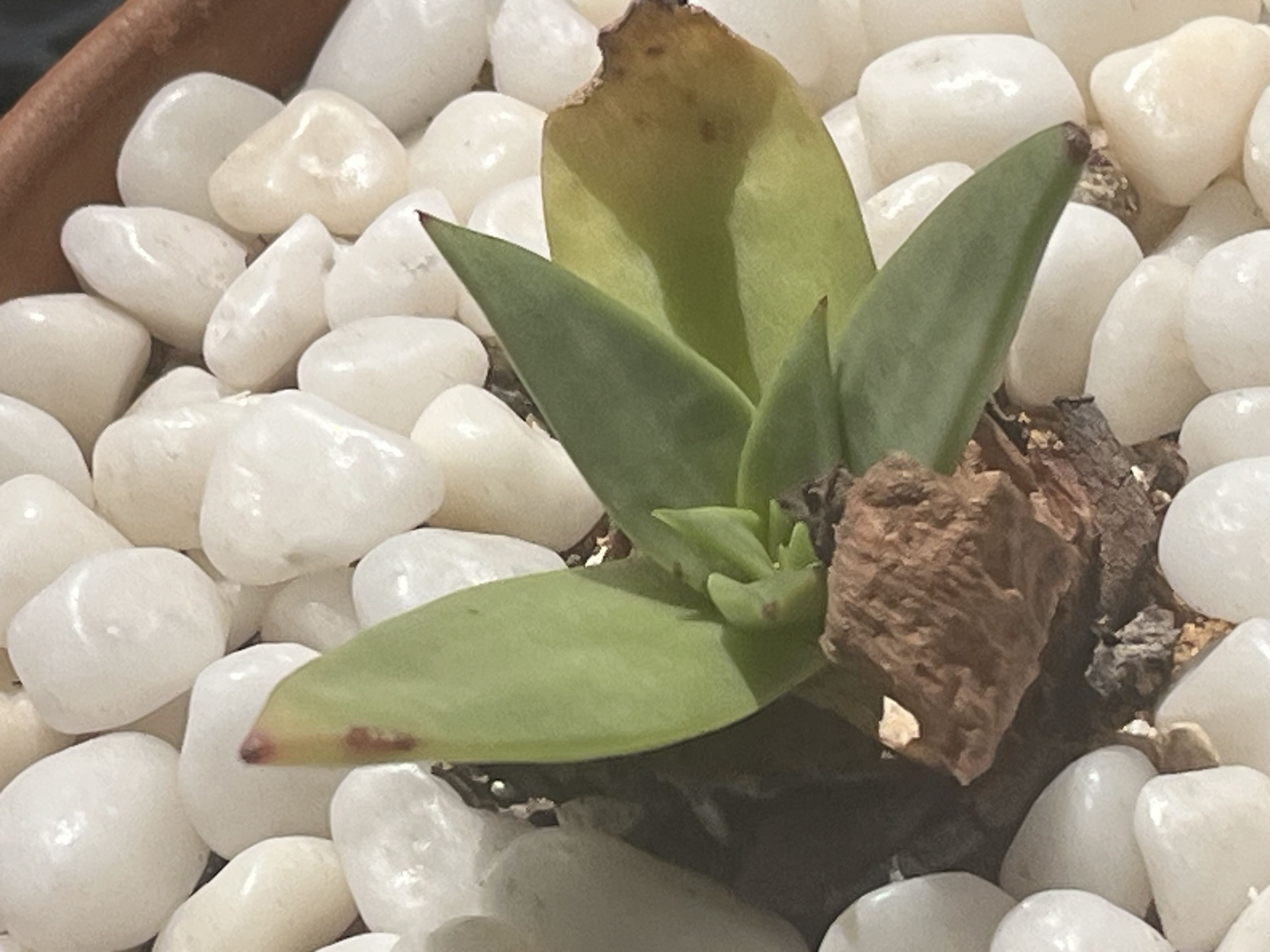 Photo from the post