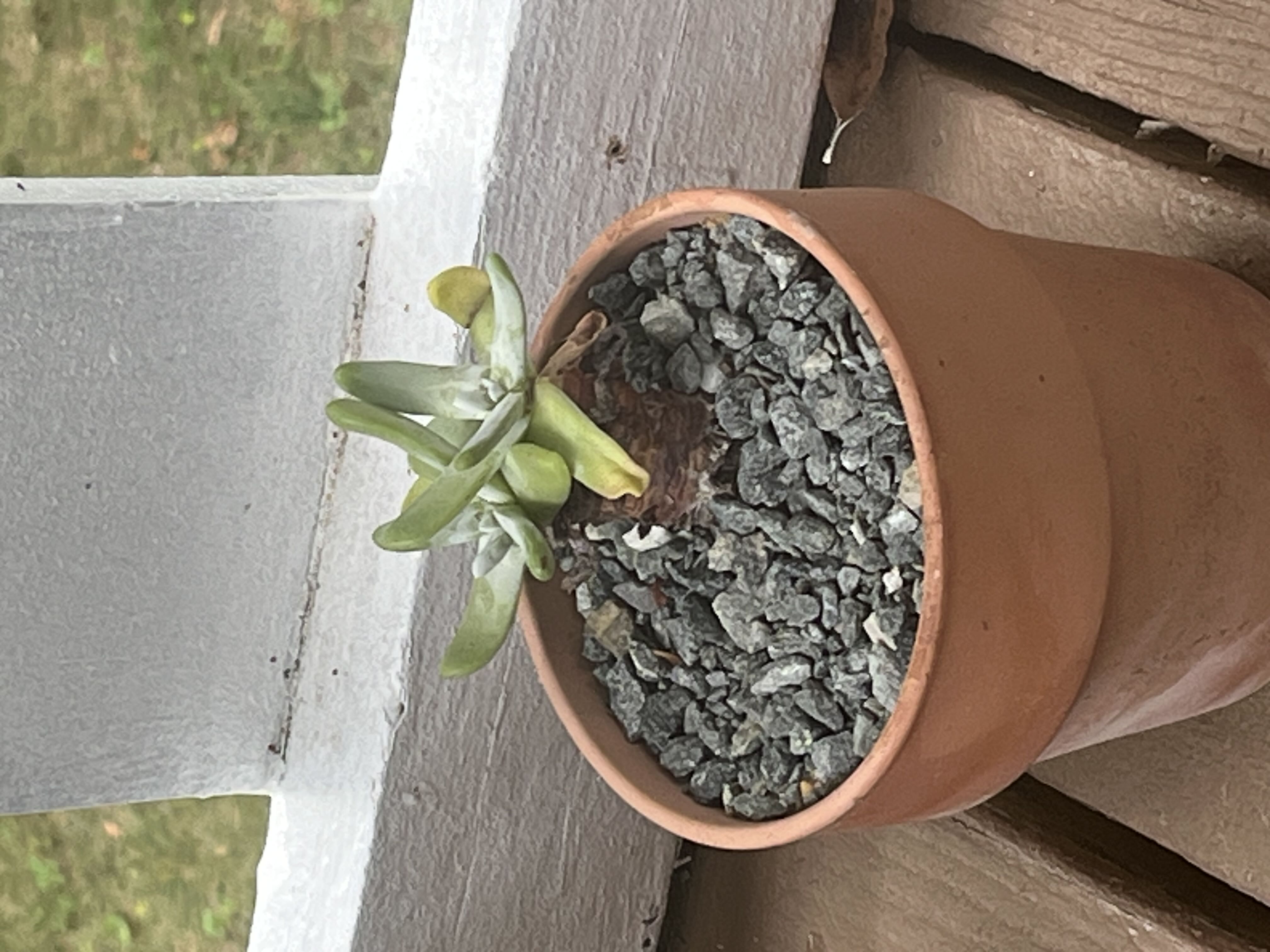 Photo from the post