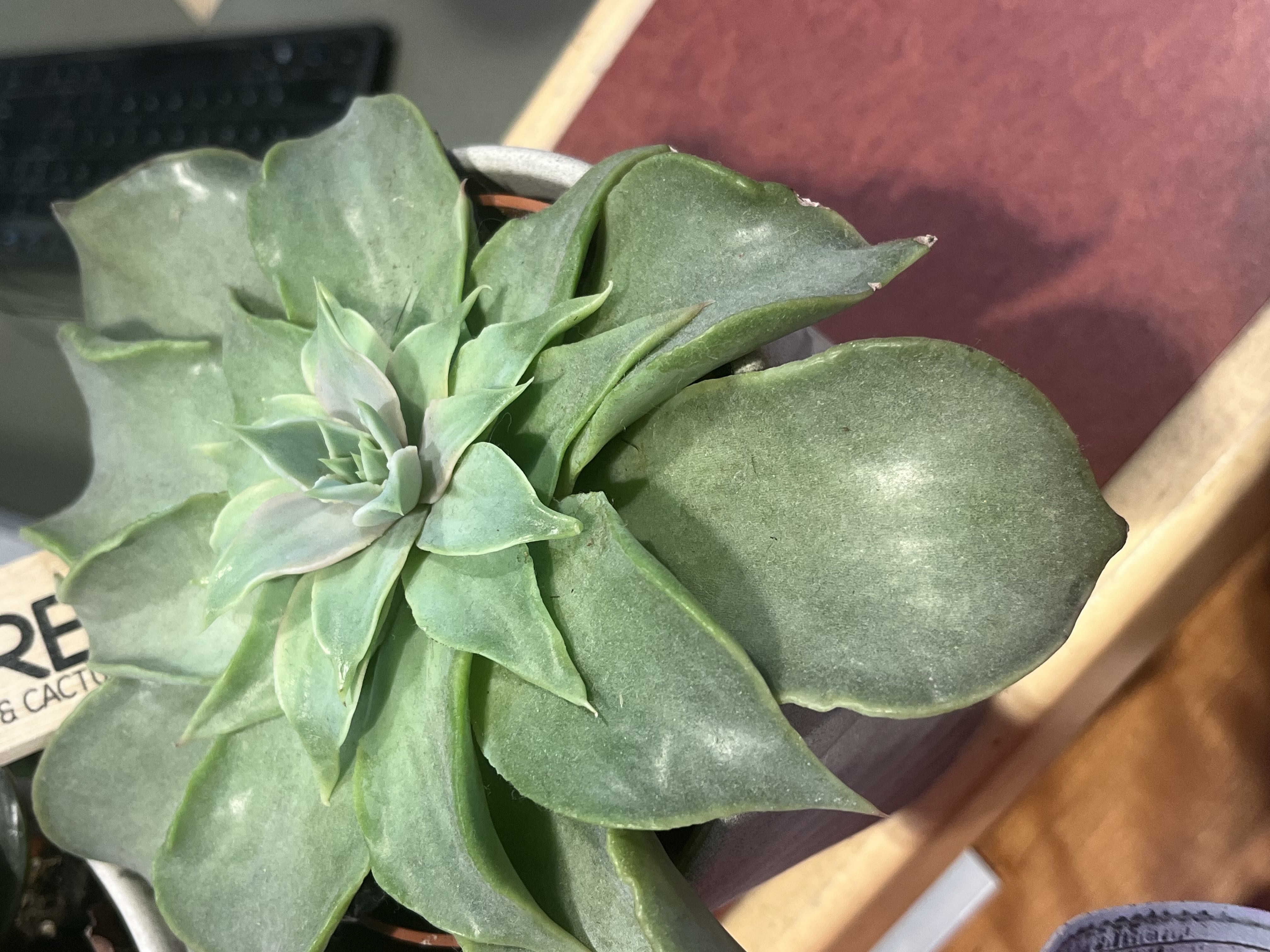 Photo from the post