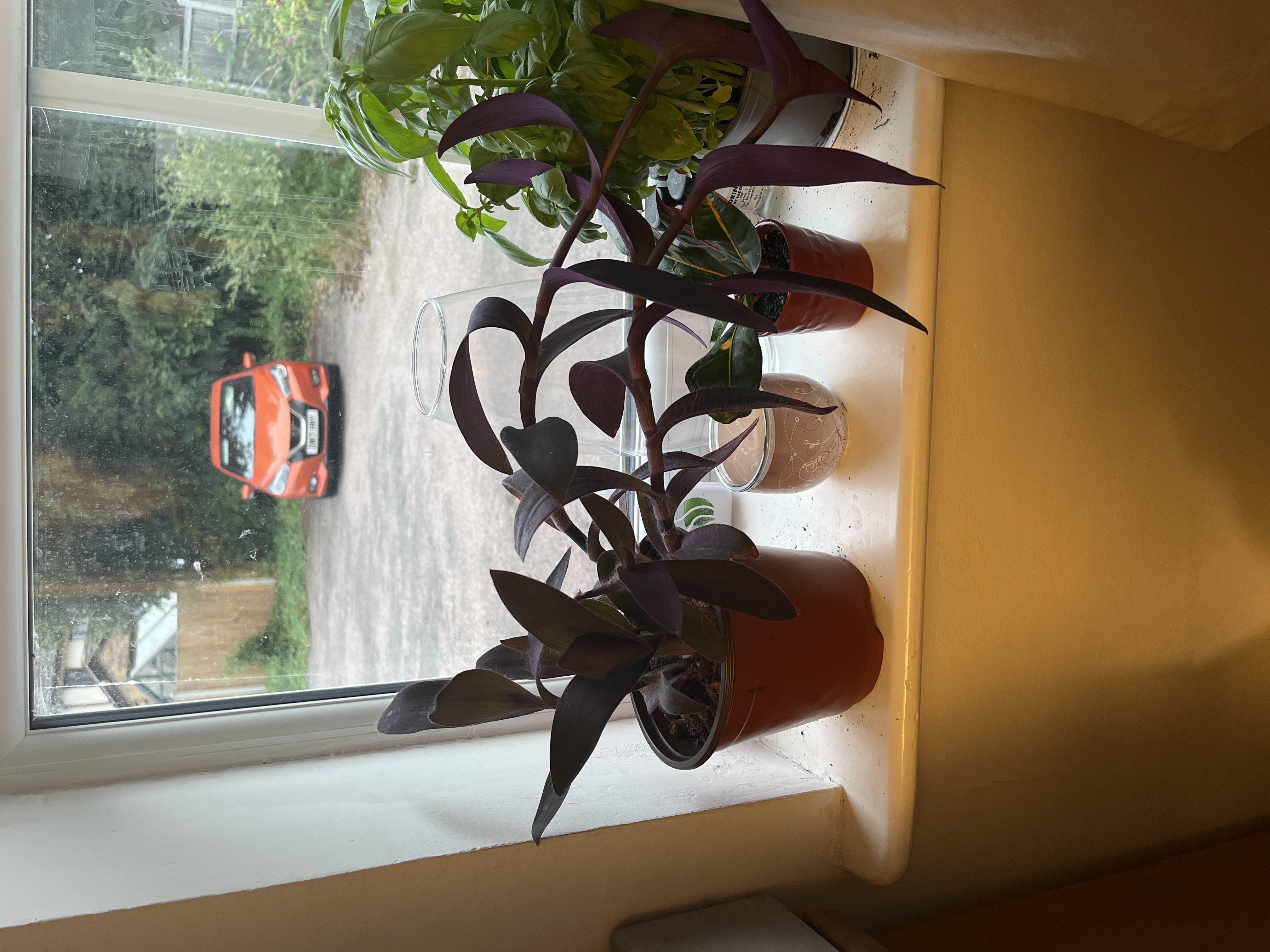 Photo from the post