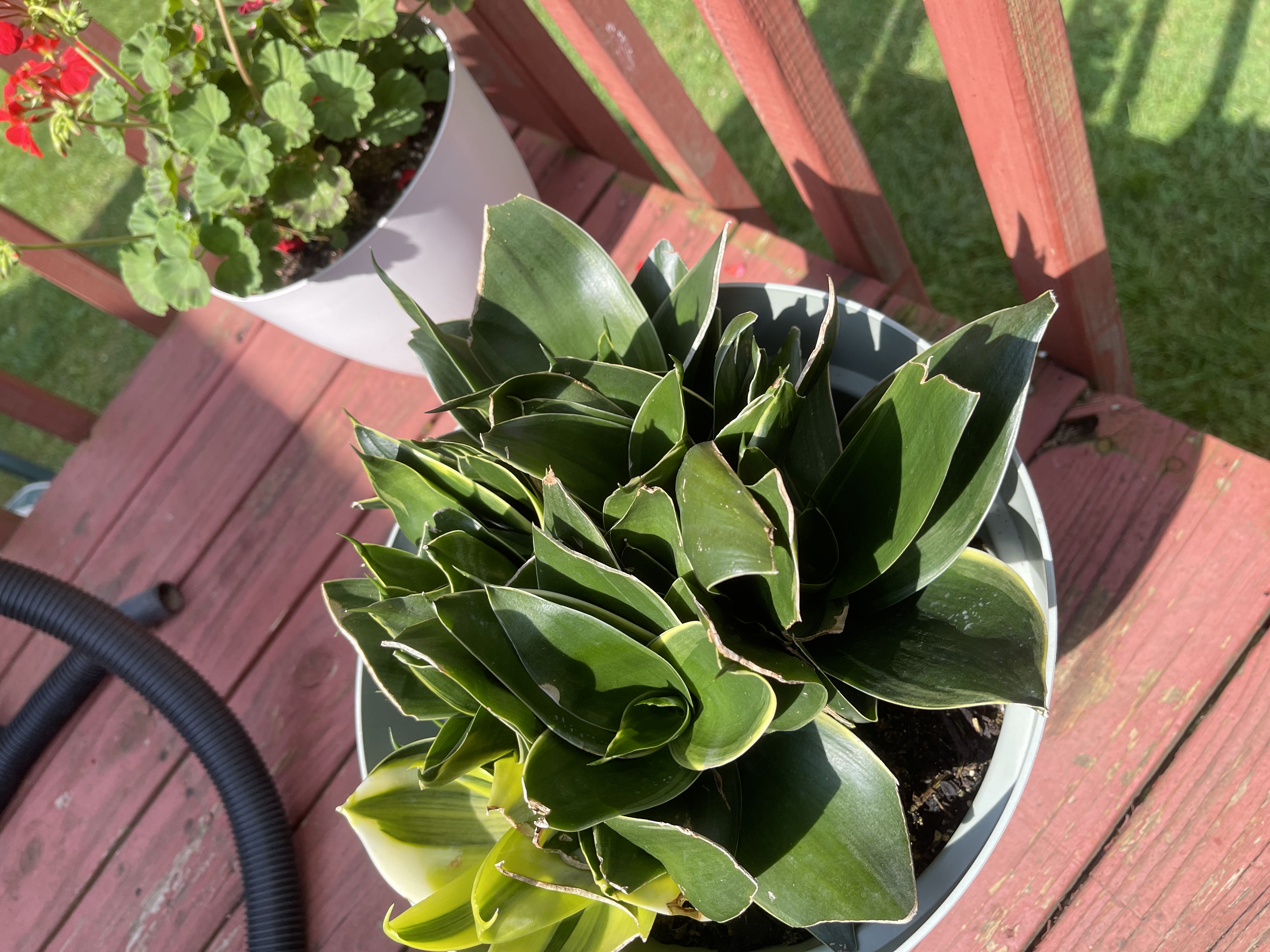 Photo from the post