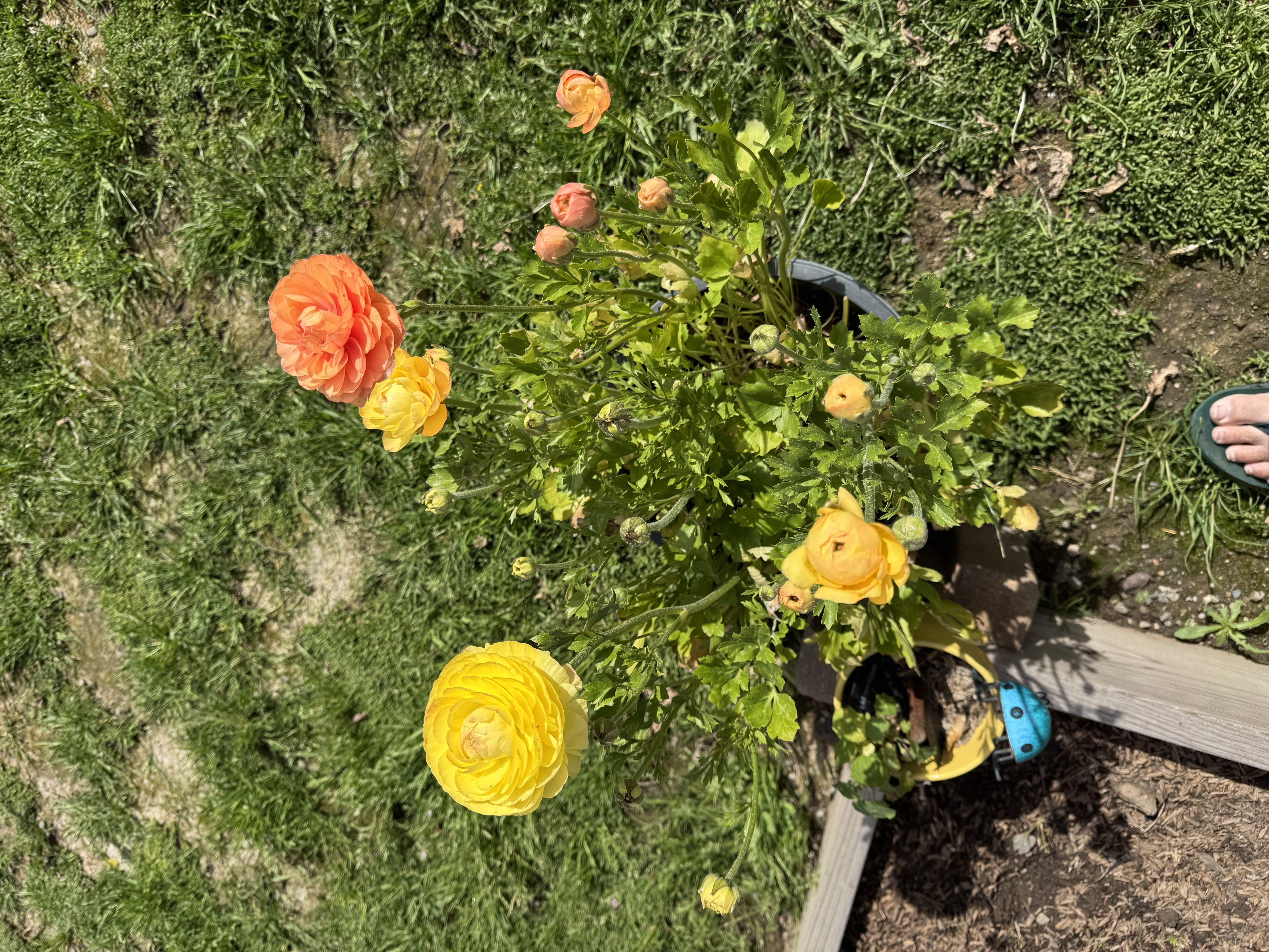 Photo from the post