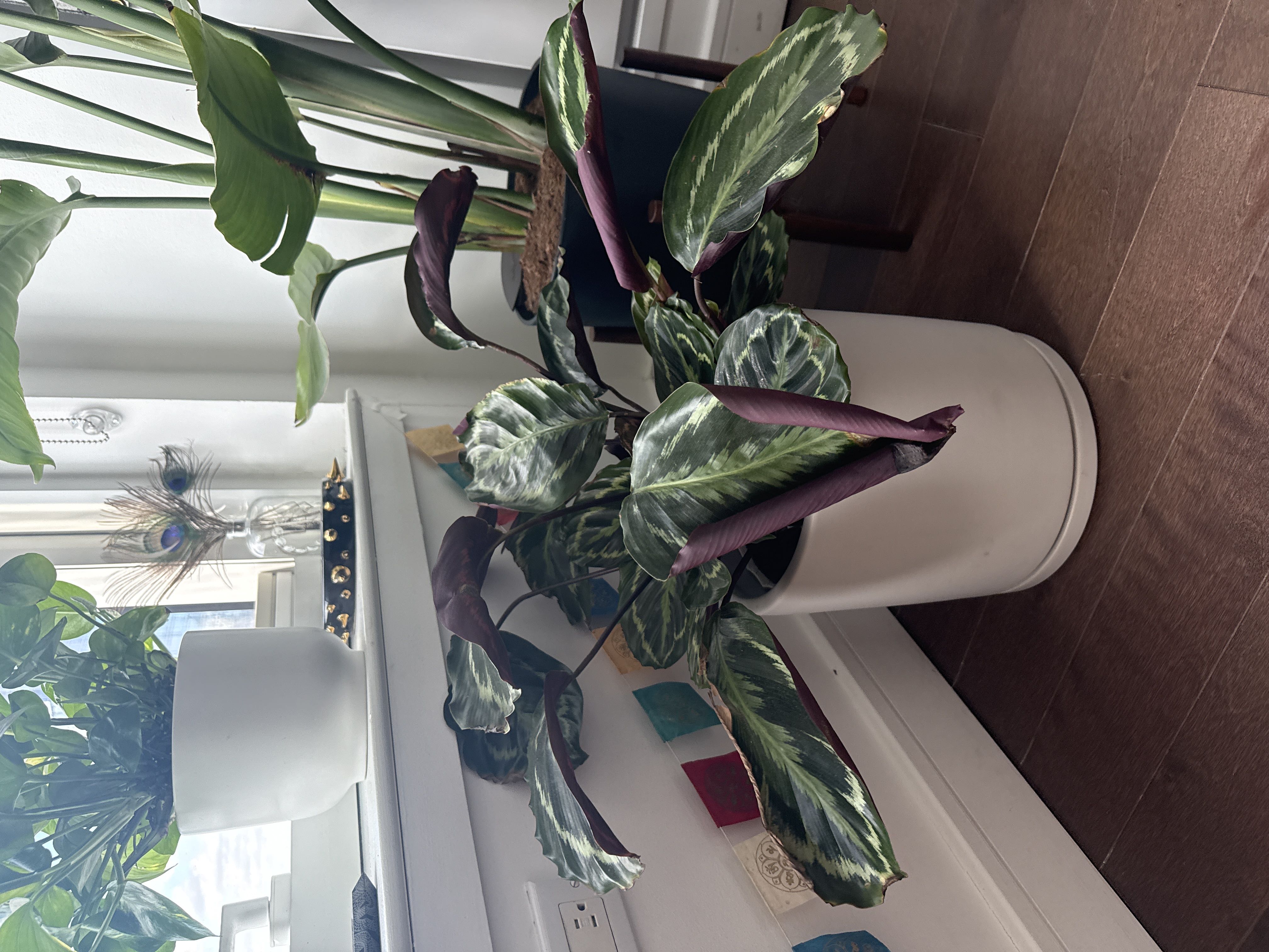 Photo from the post