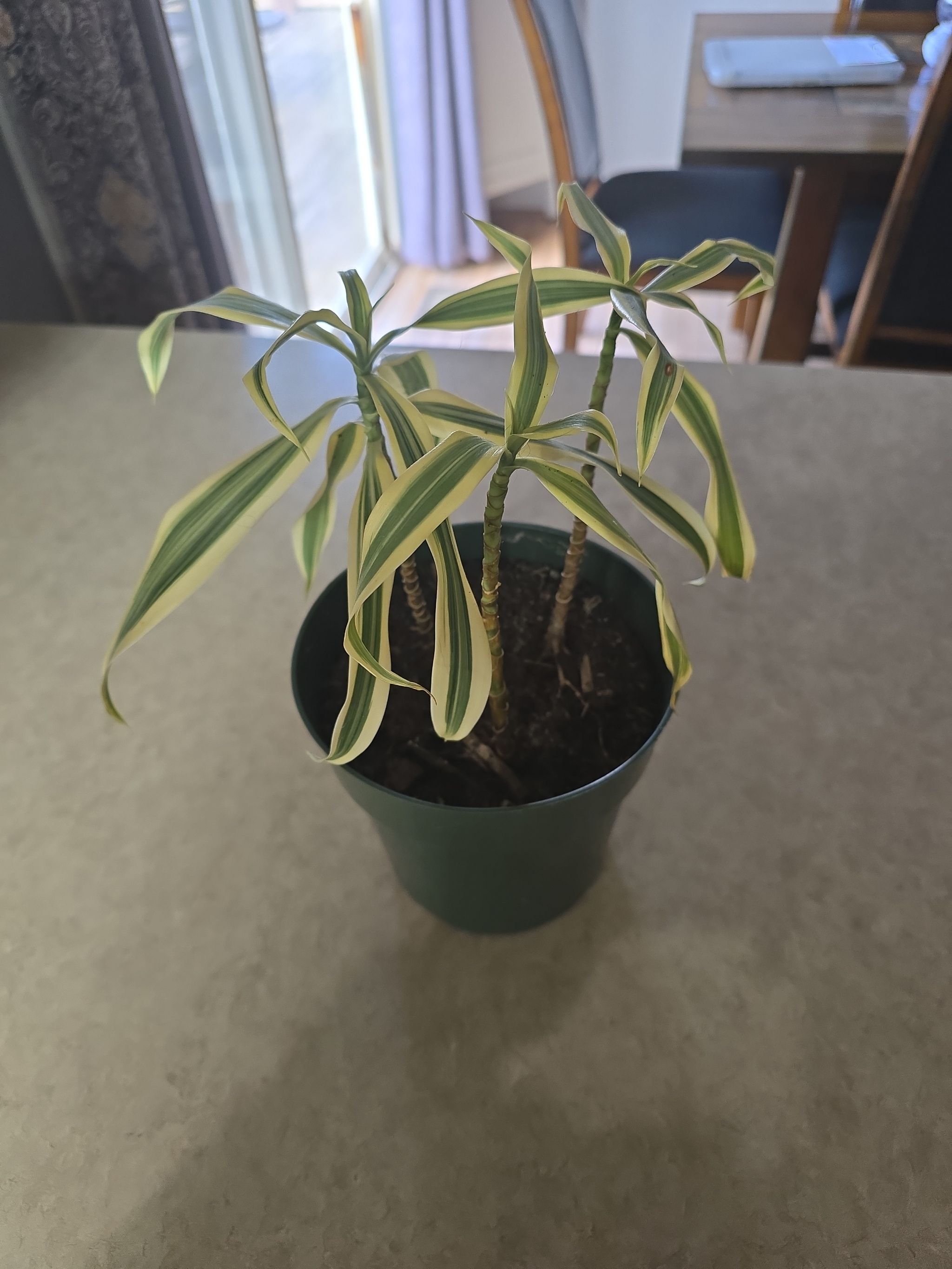 Photo from the post