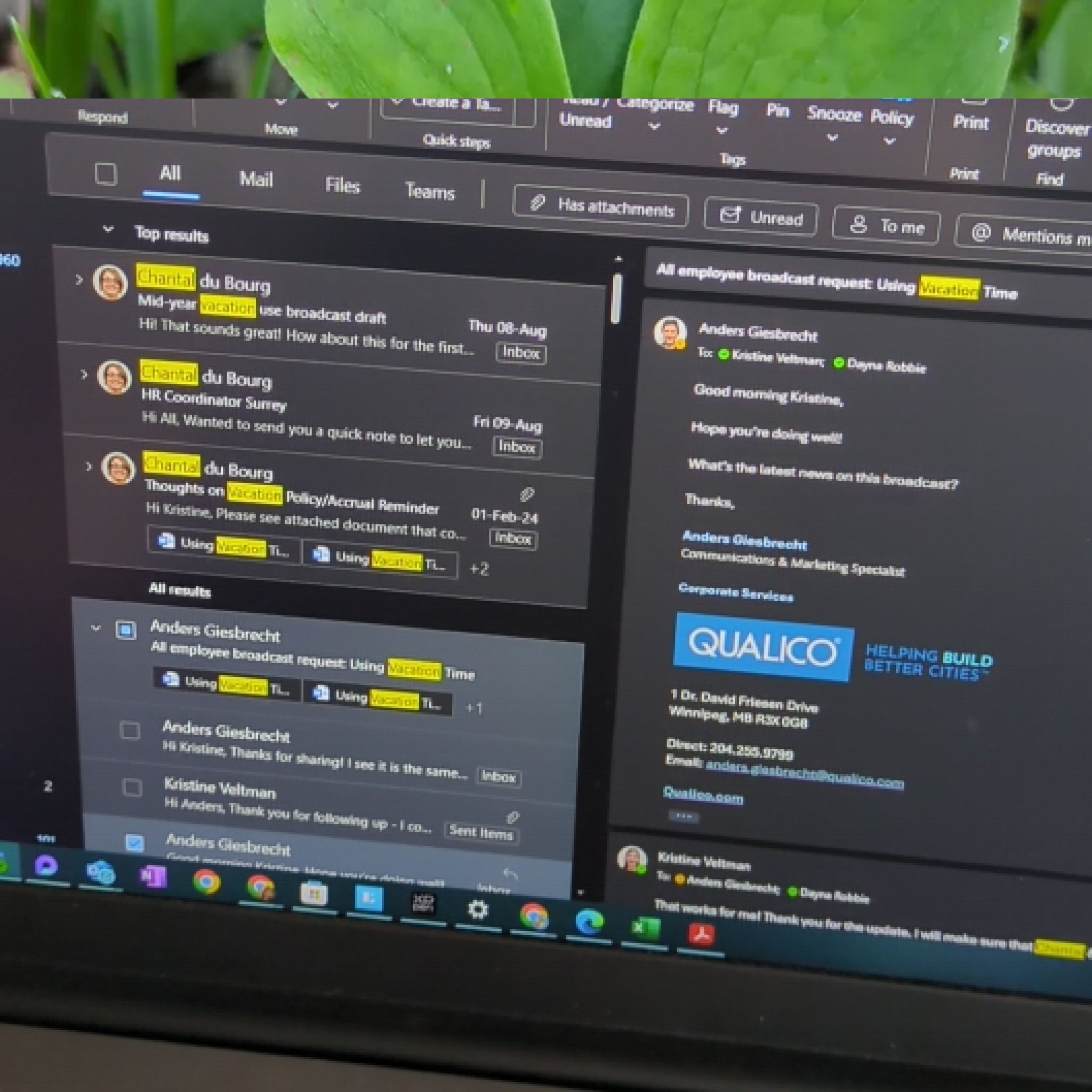 Photo of the plant species Bunchberry by @PureCarpetrose named Tupot amaroot on Greg, the plant care app
