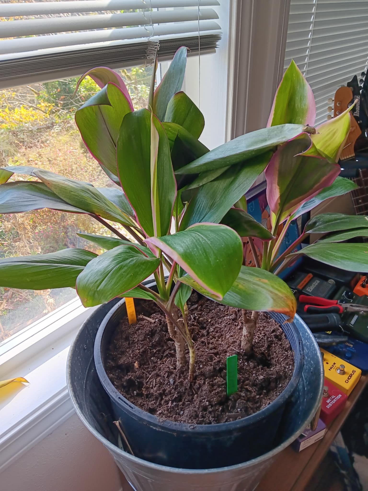 Photo from the post