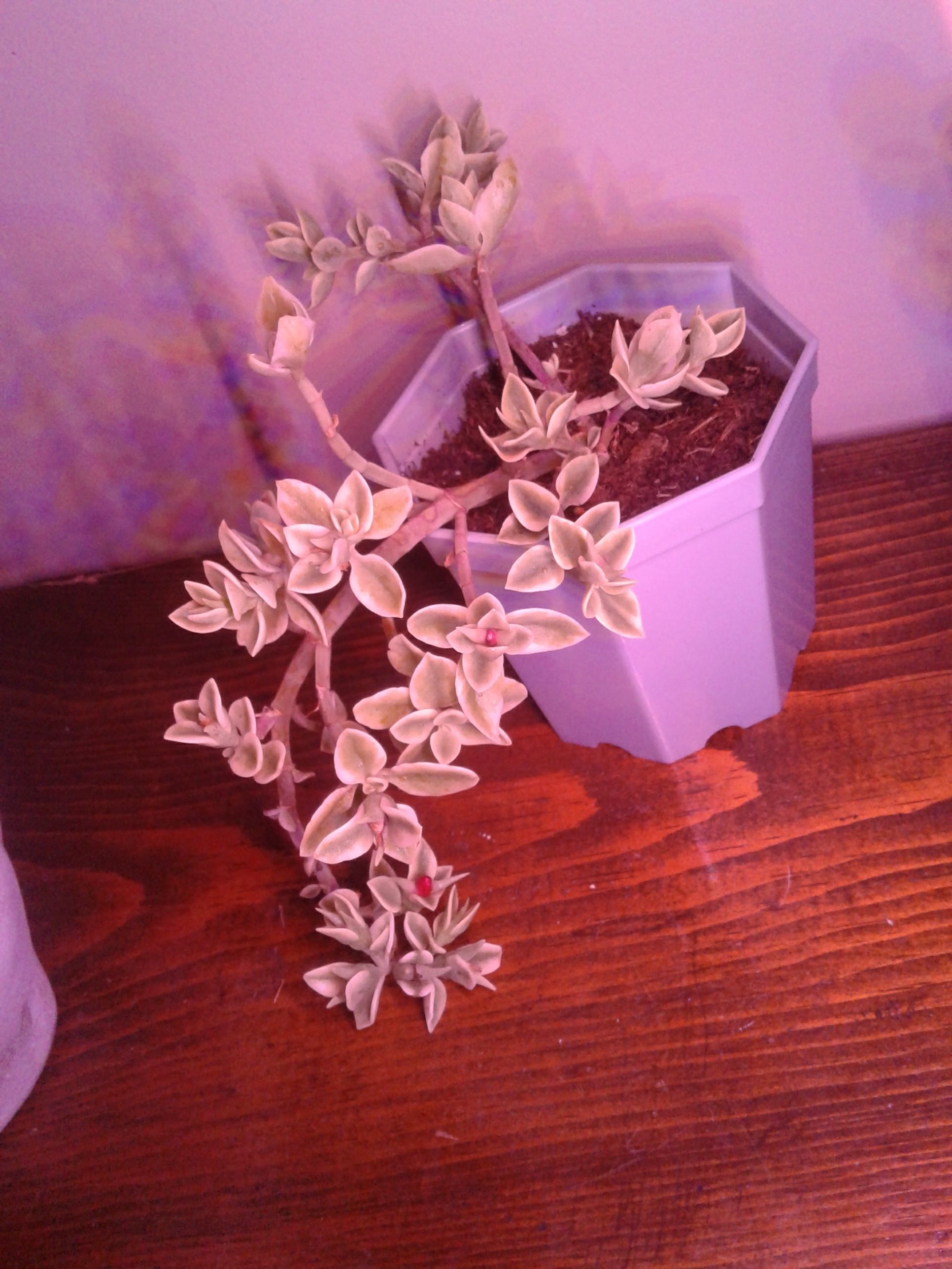 Photo from the post