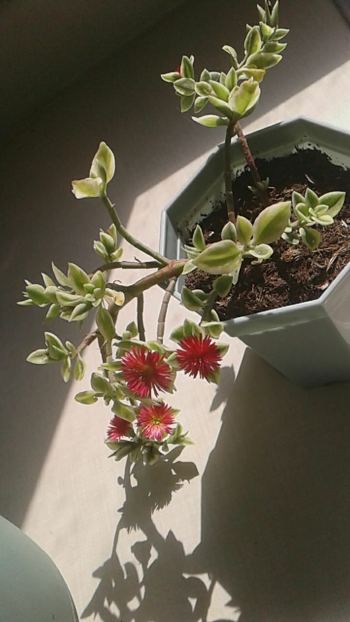 Photo from the post