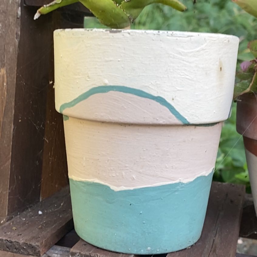 Photo of the plant species Hardy Aloe by @WorthyBreadnut named Curie on Greg, the plant care app