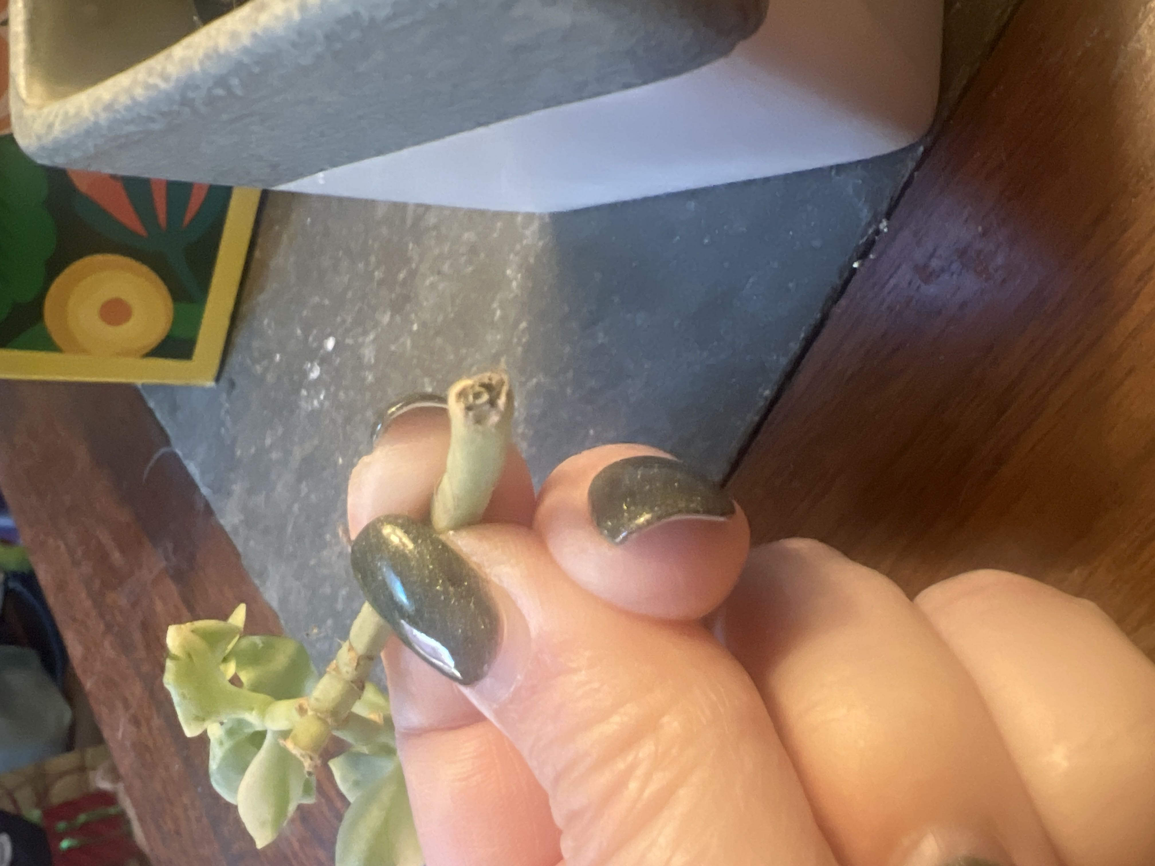 Photo from the post