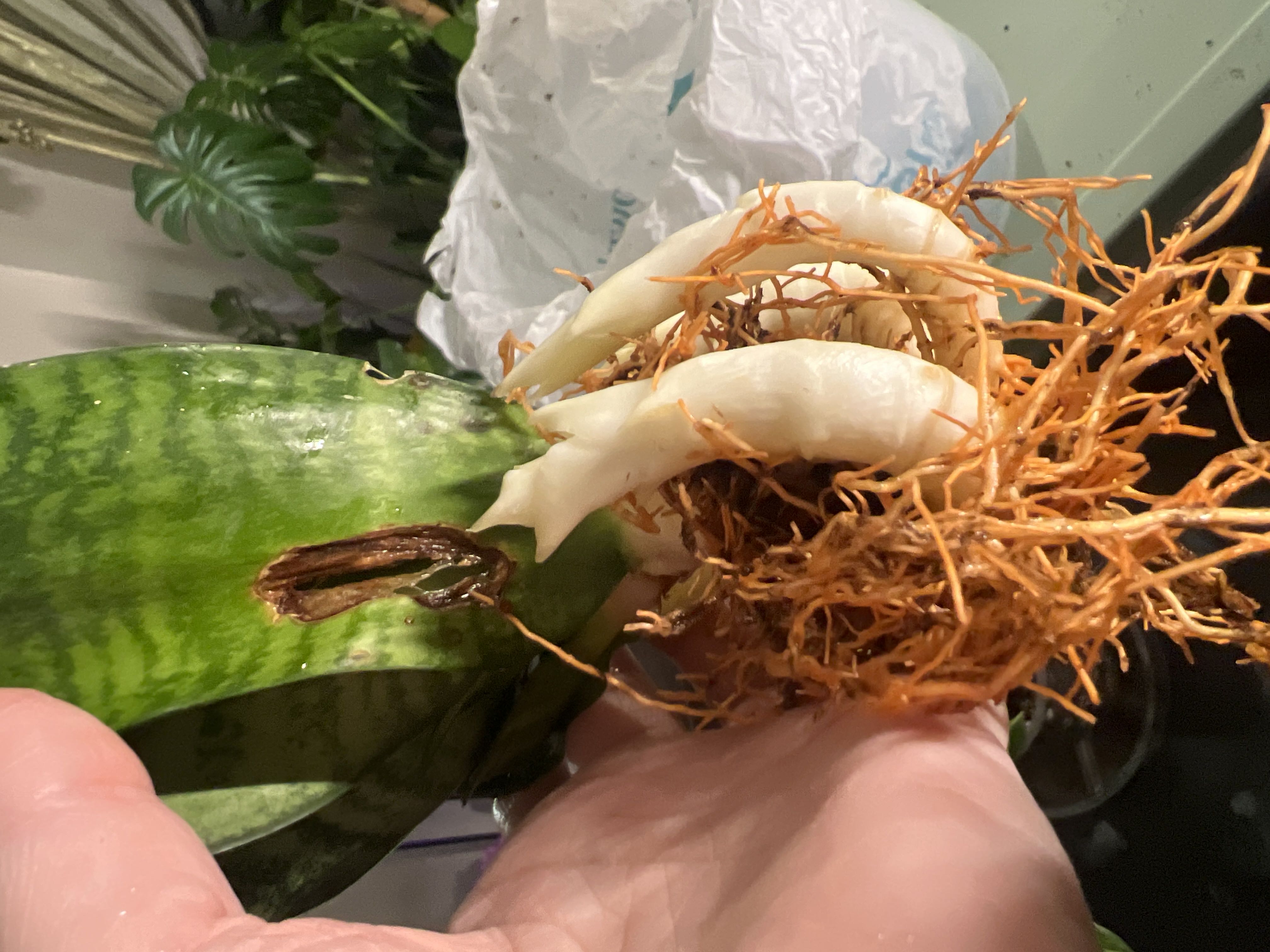 Photo from the post