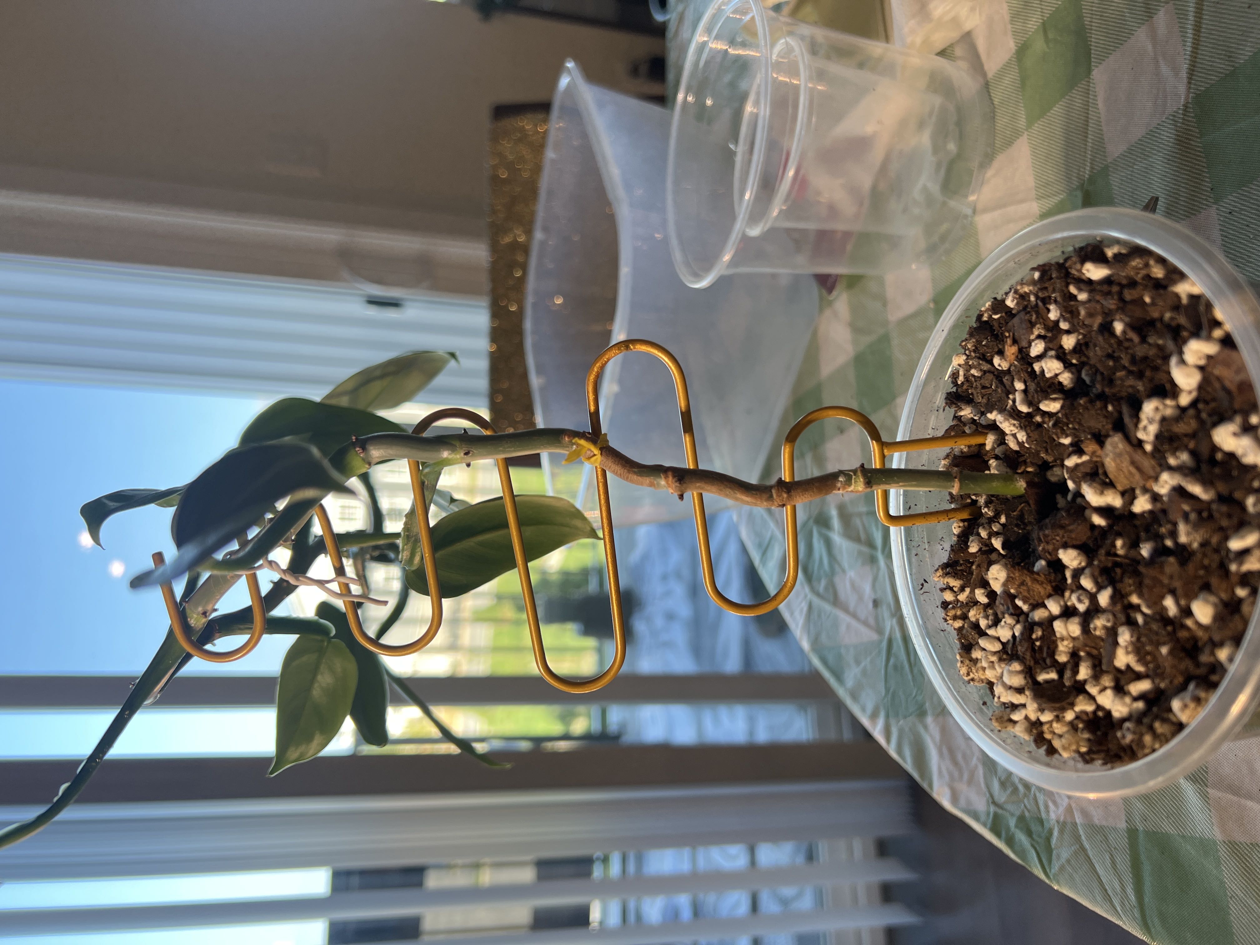 Photo from the post