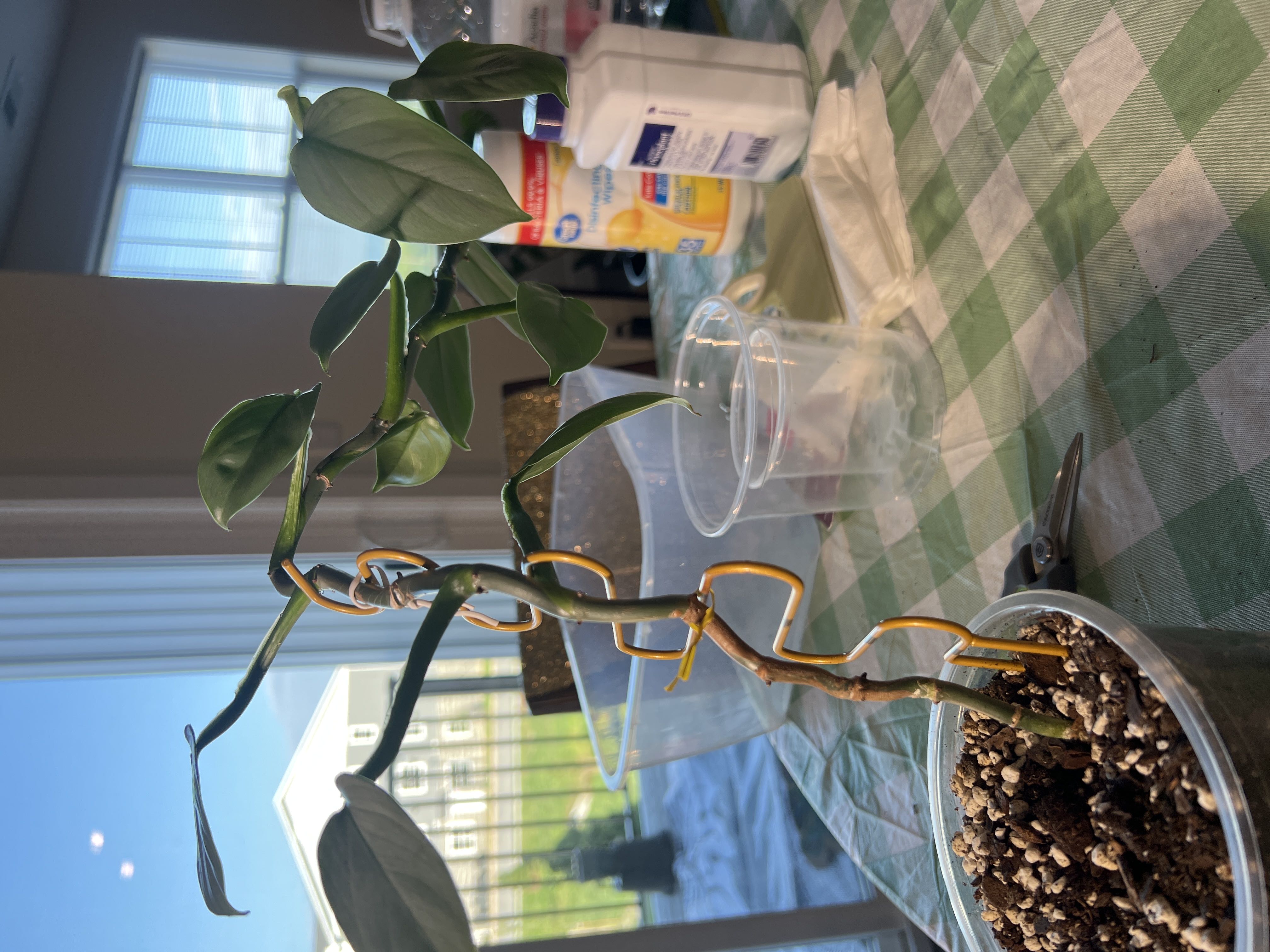 Photo from the post