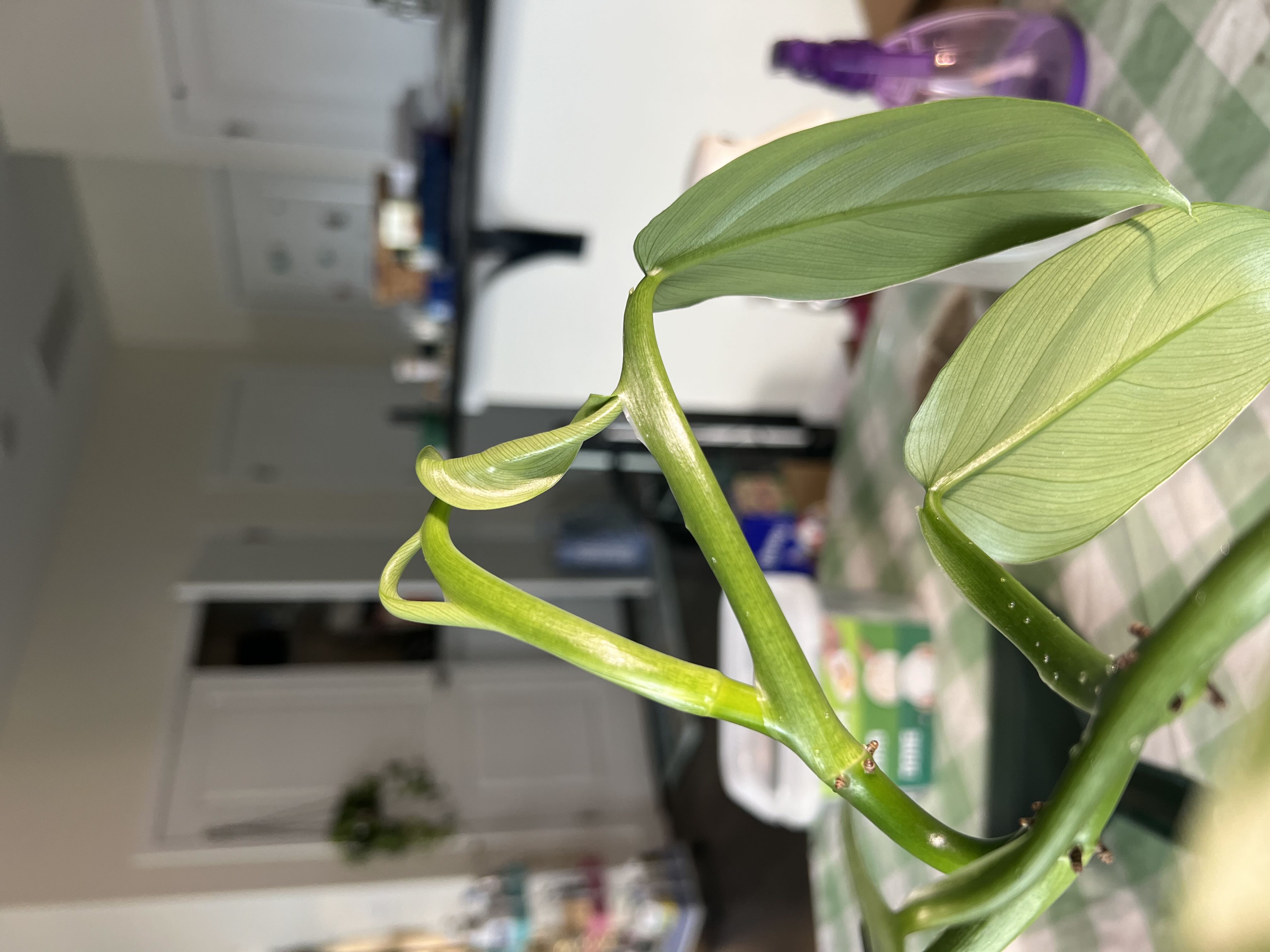 Photo from the post