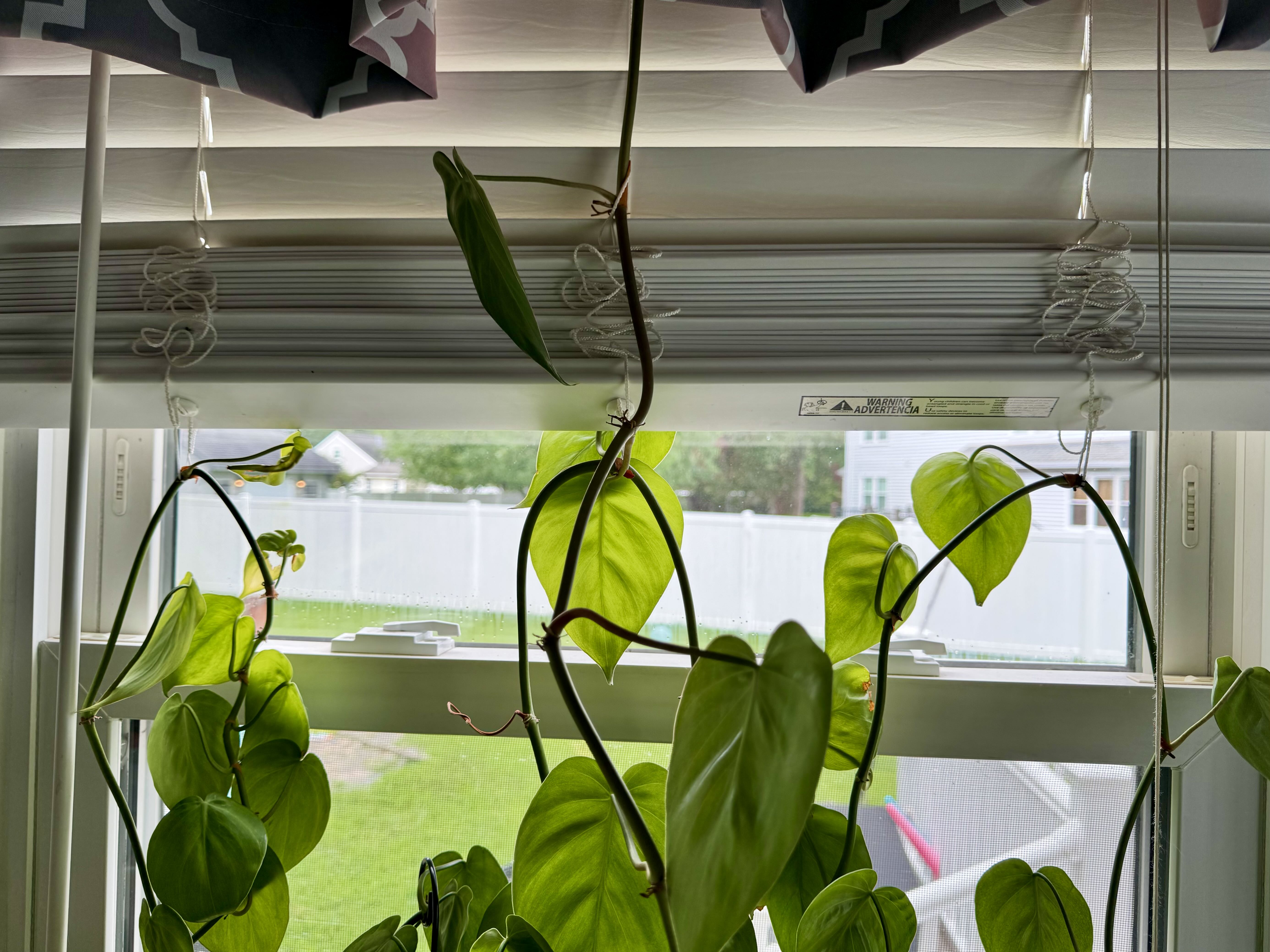 Photo from the post