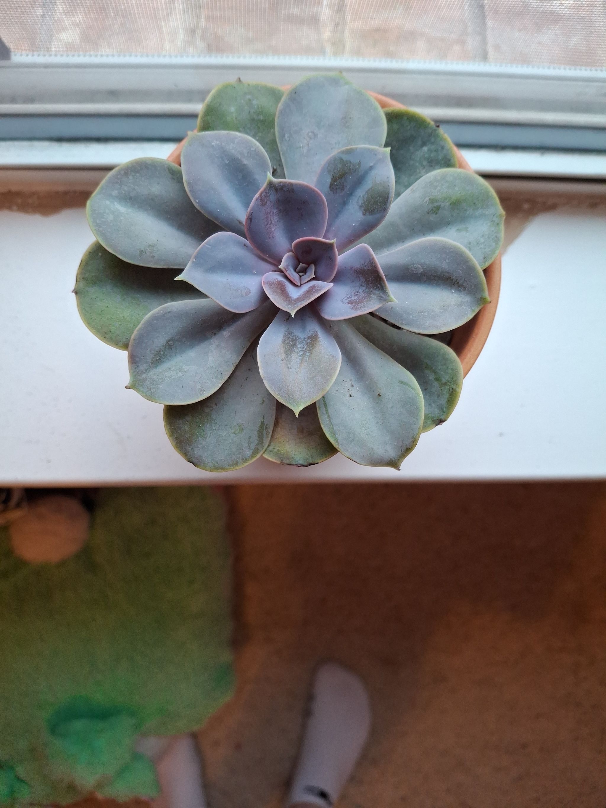 Photo from the post