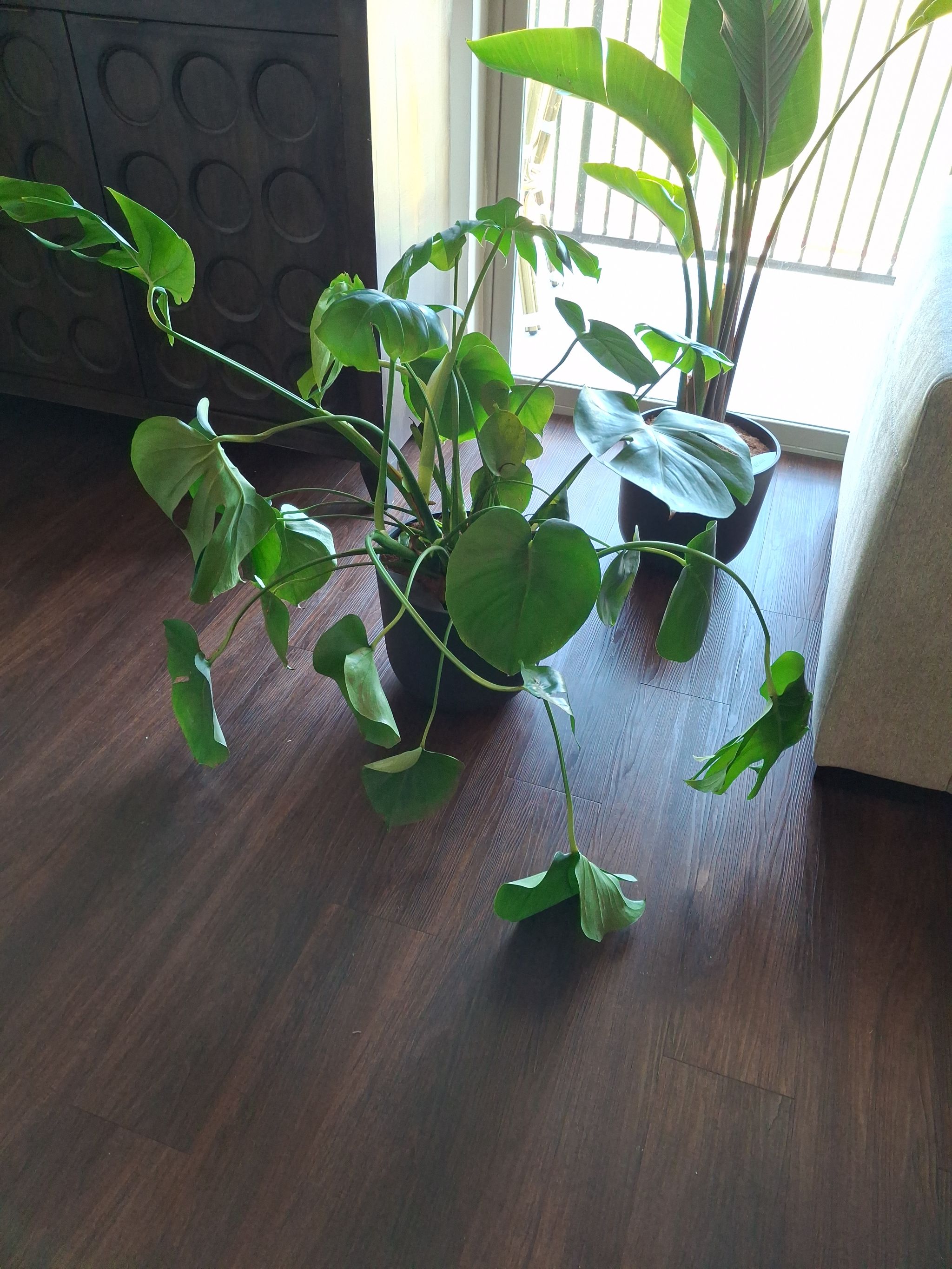 Photo from the post