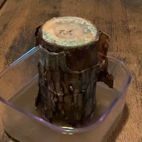 Plant care for Barailian Wood on Greg, the plant care app