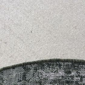 Photo of the plant species Barren Brome by @StarTreespurge named ChloroPhil on Greg, the plant care app