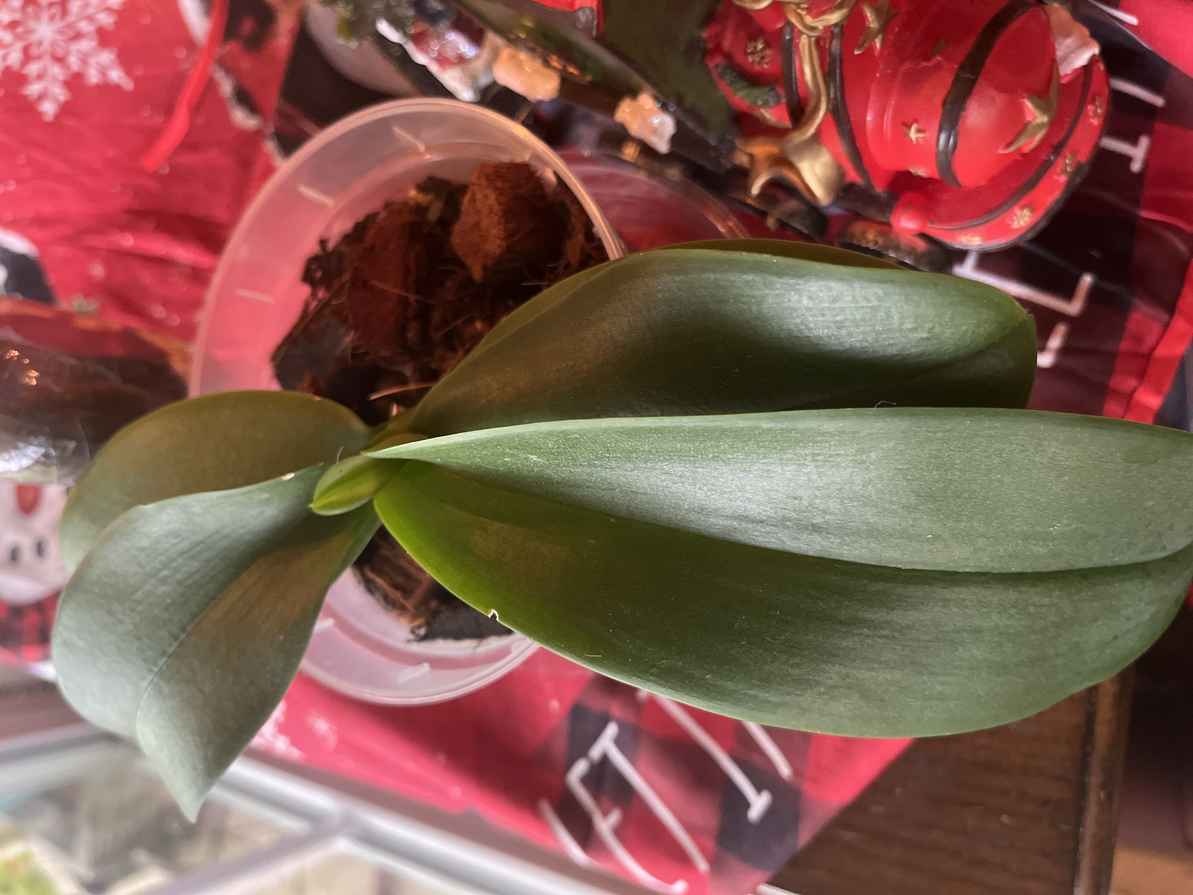 Photo from the post