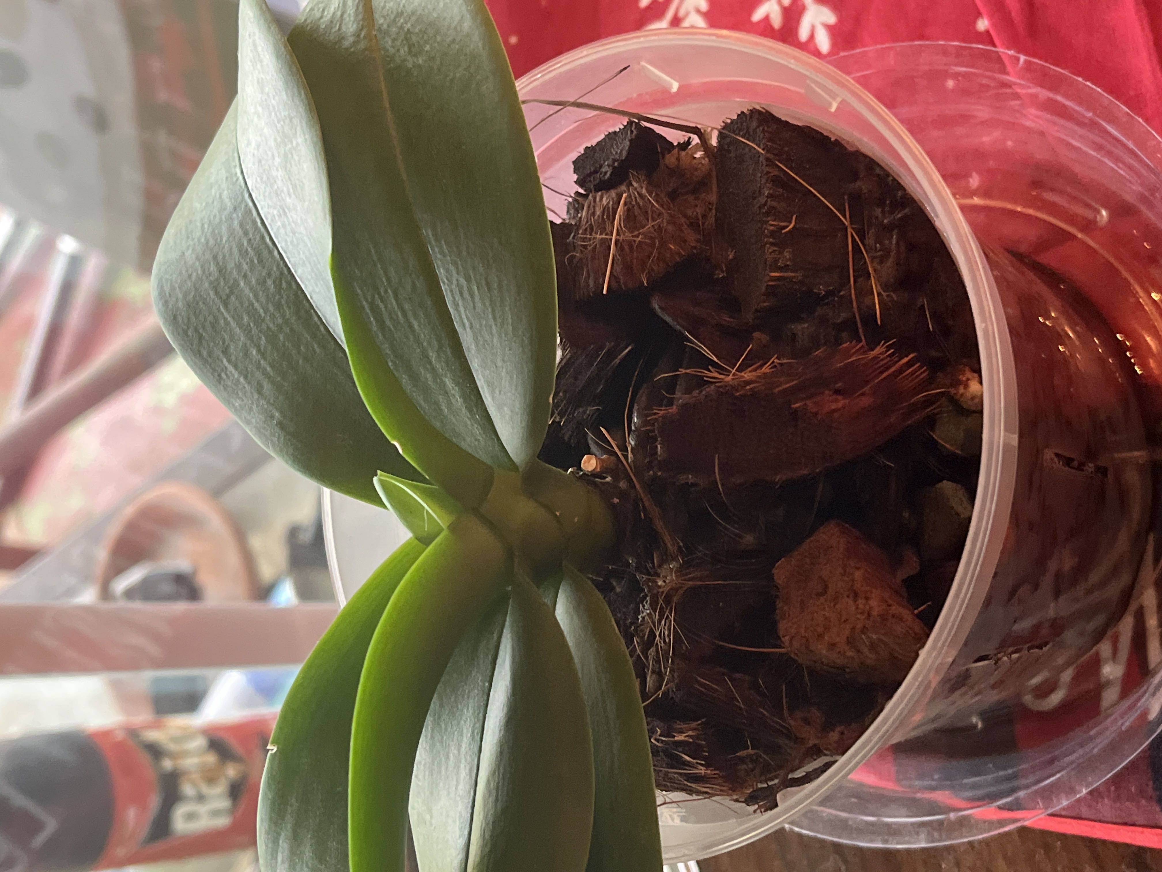Photo from the post