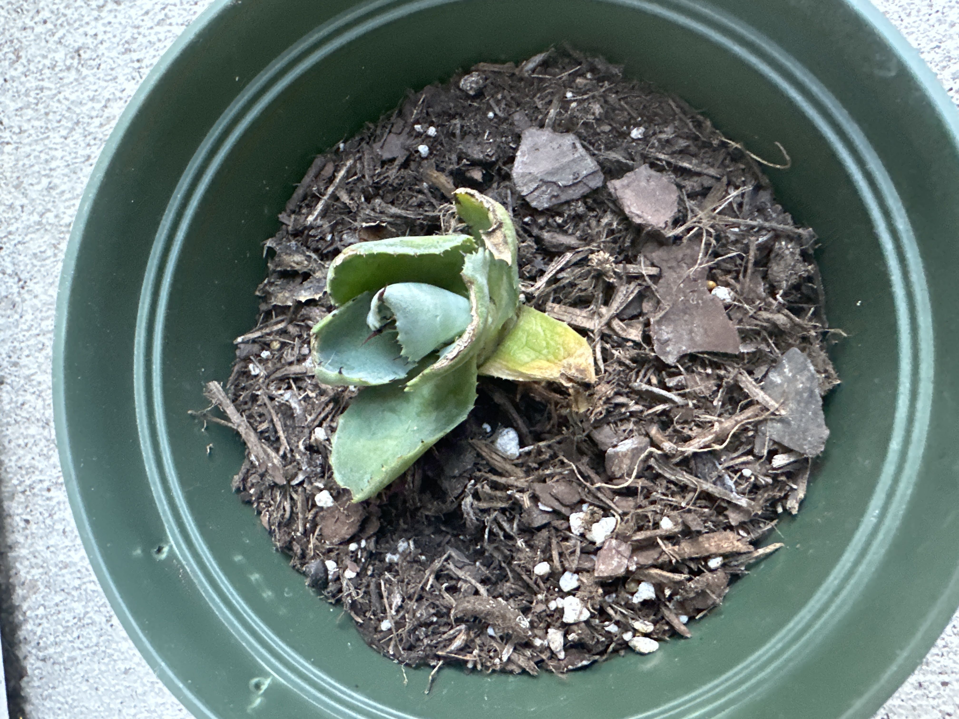Photo from the post