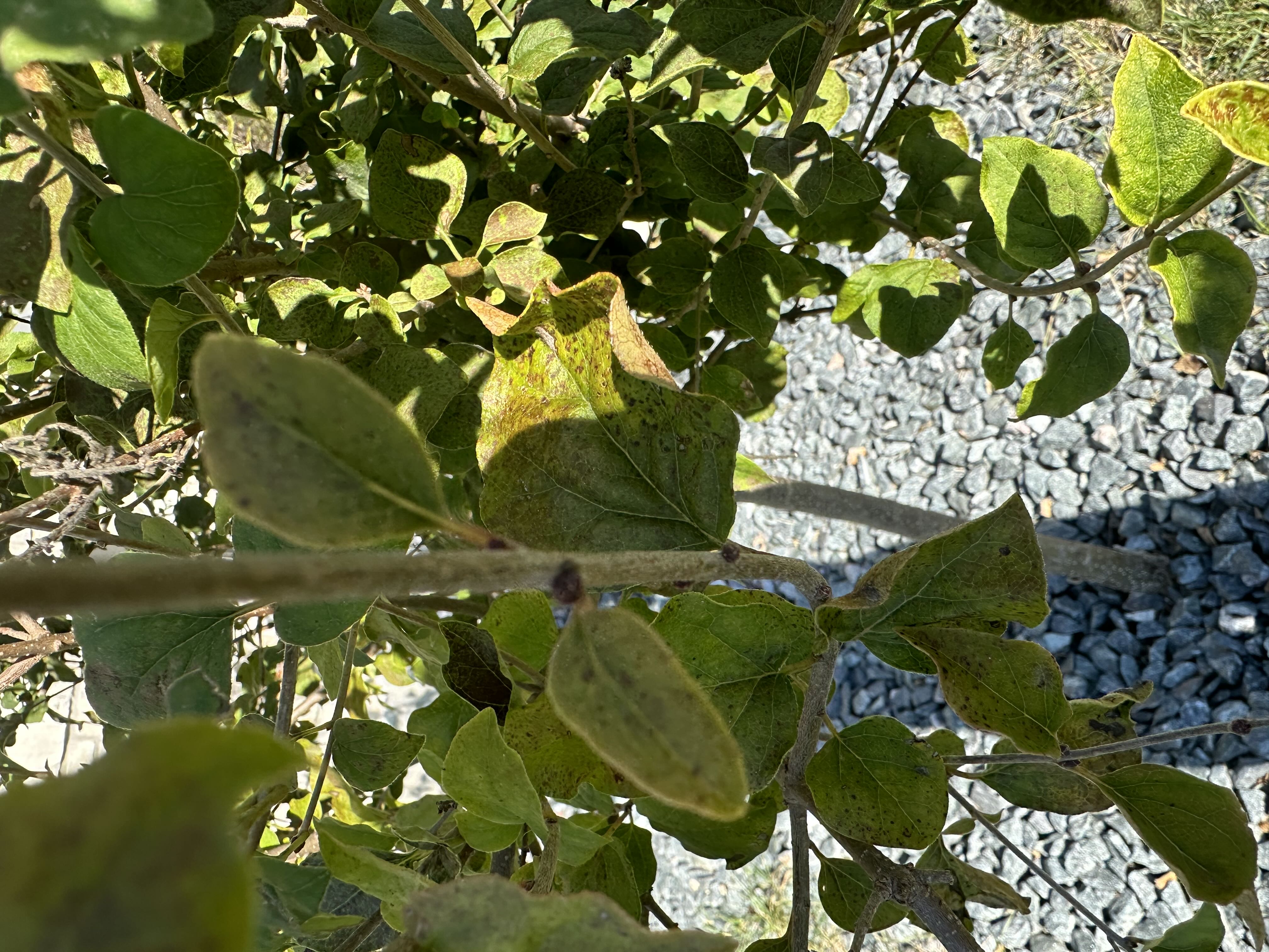 Photo from the post