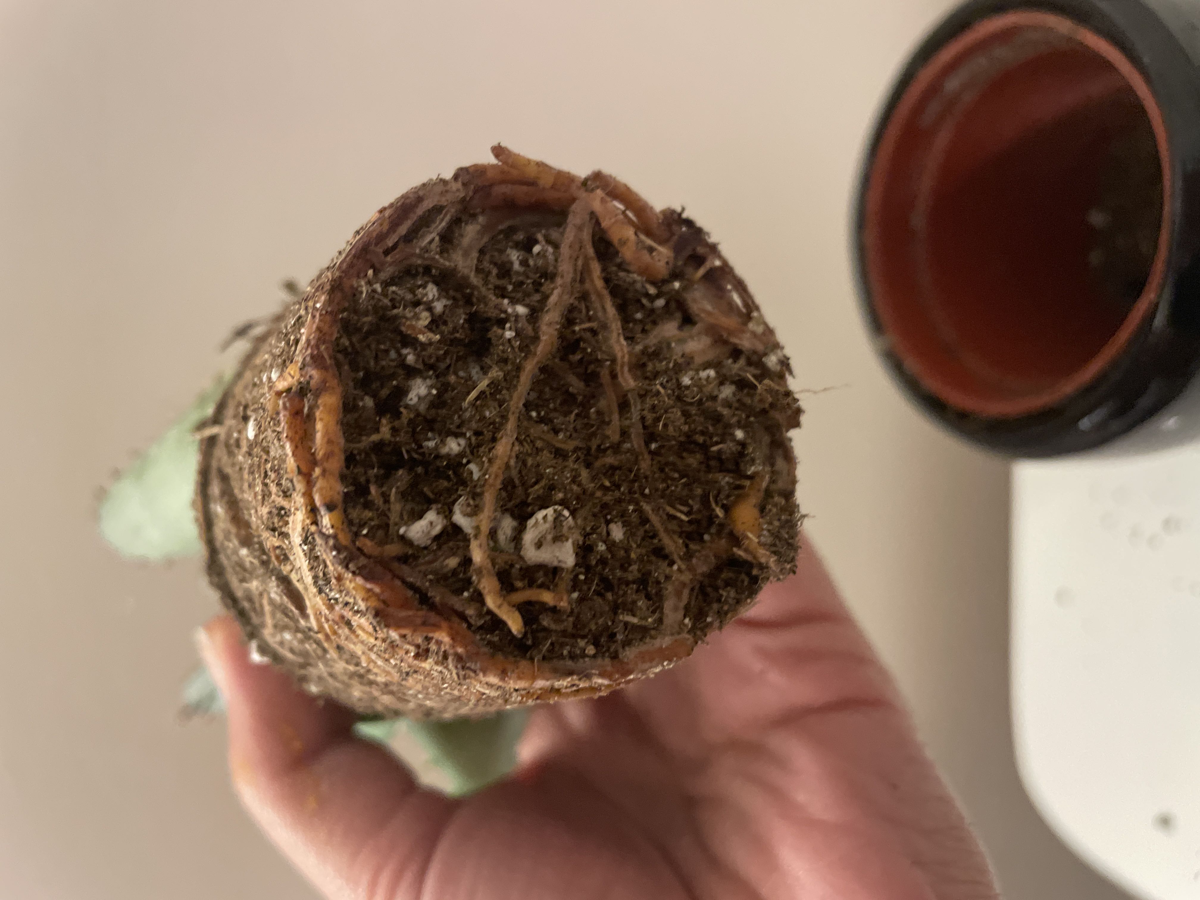 Photo from the post