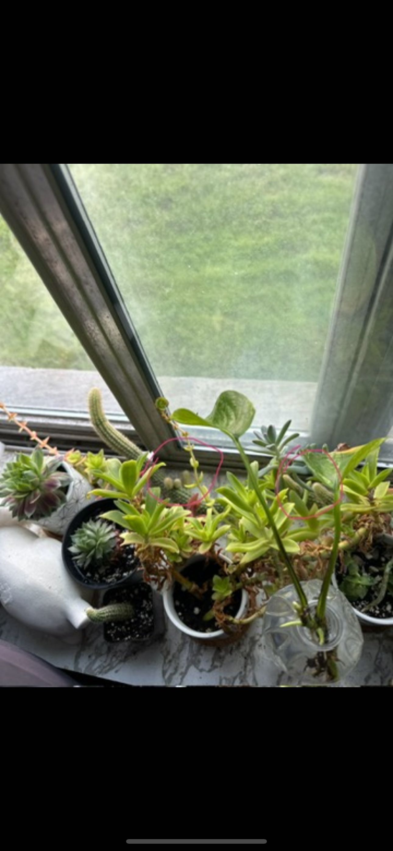 Photo from the post