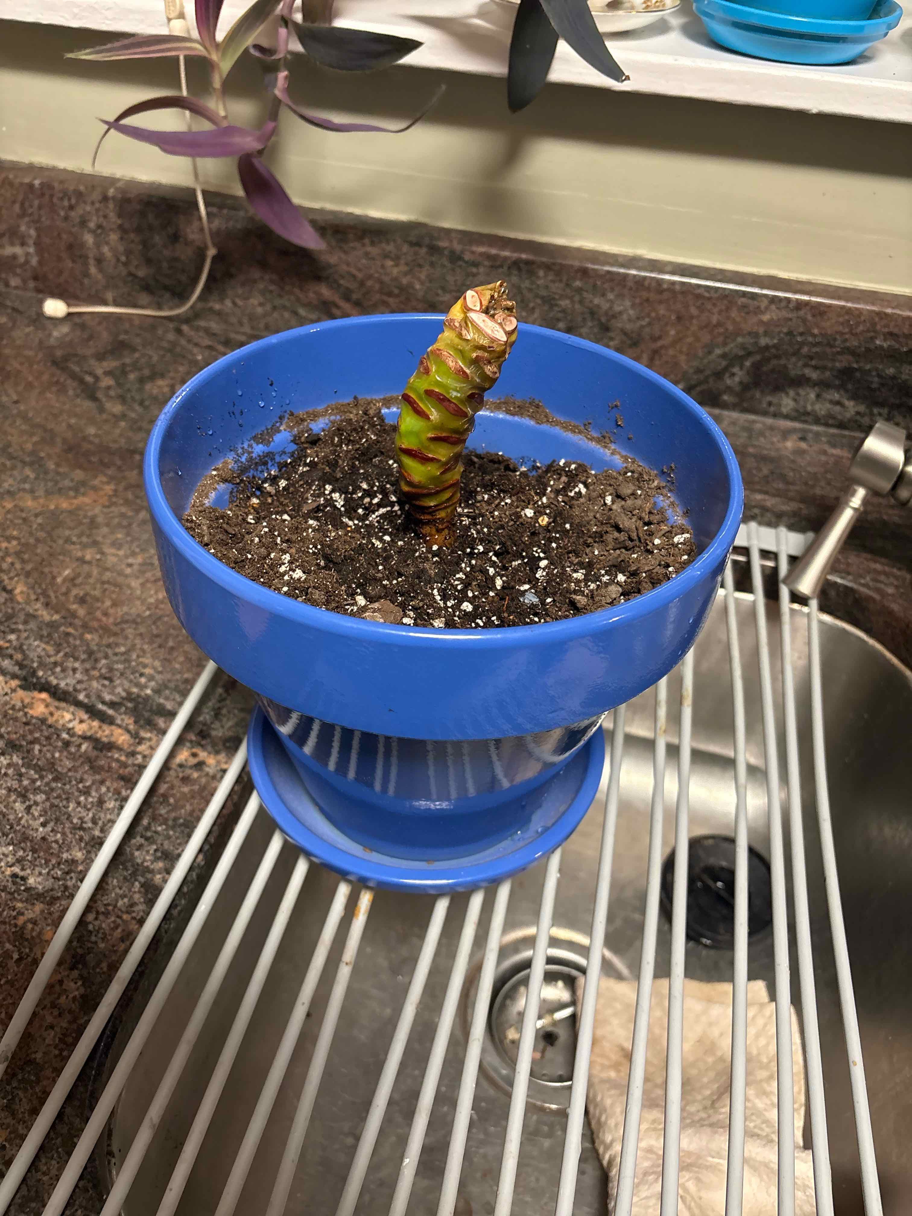 Michelle Branch Broke