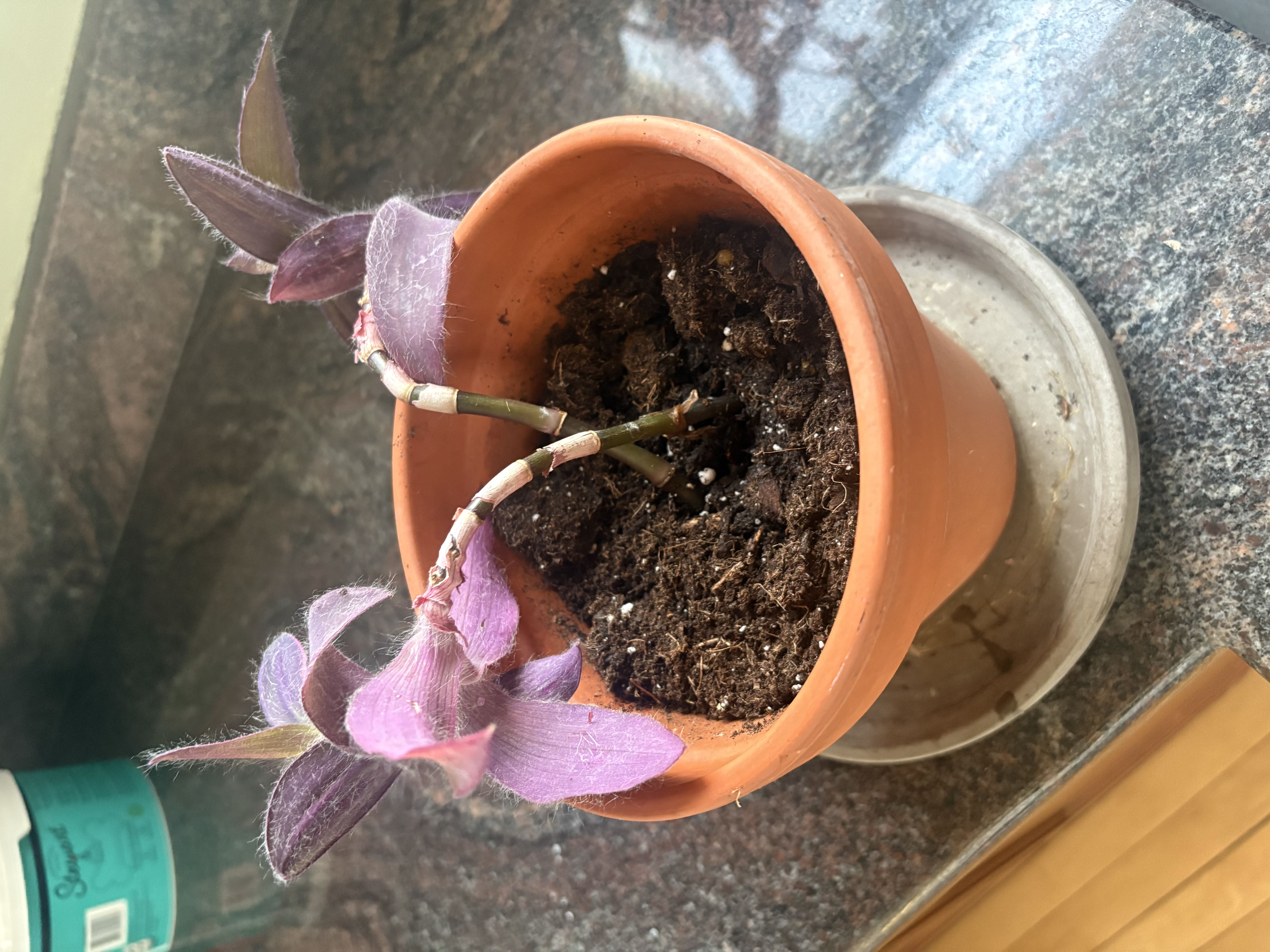 Photo from the post