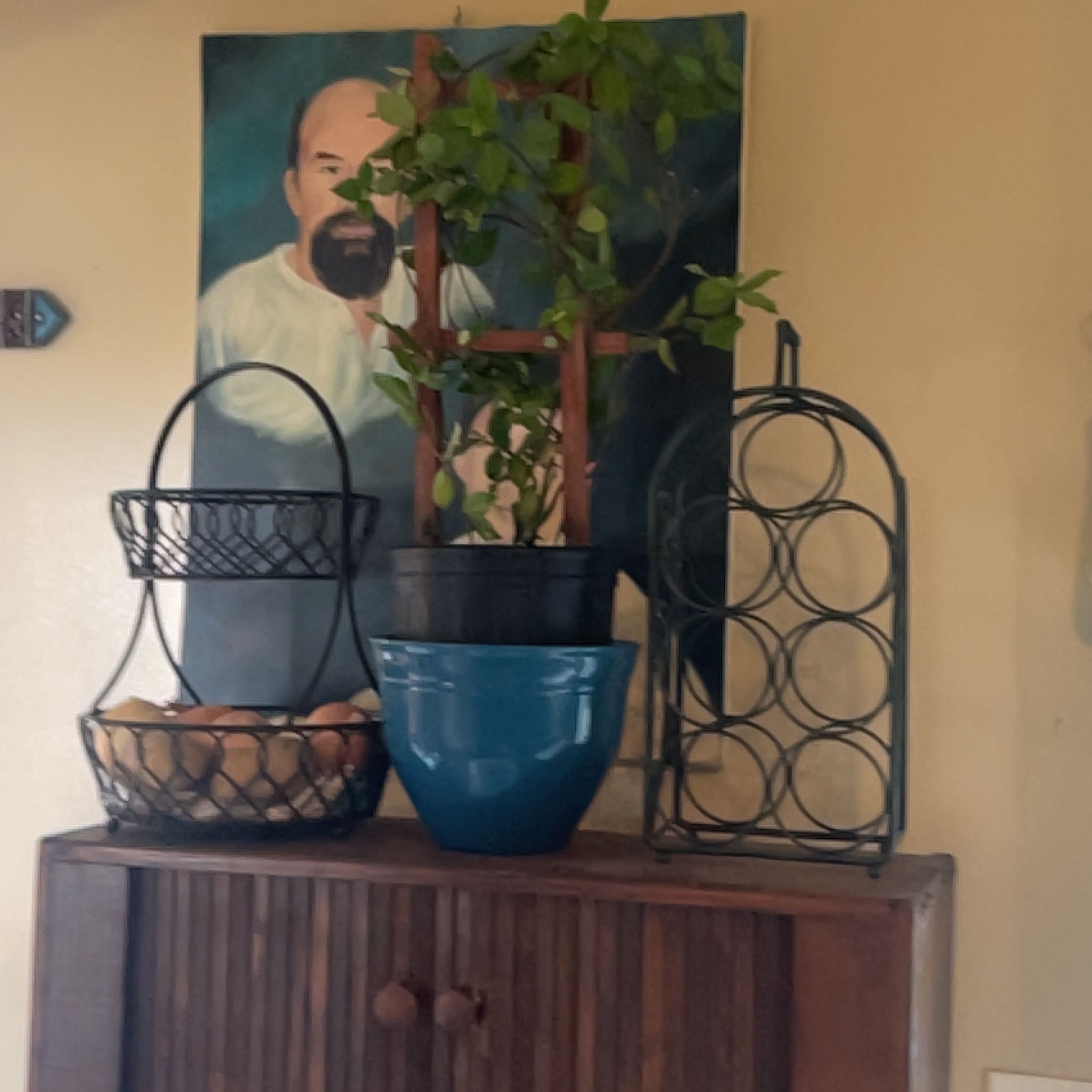 Photo of the plant species Brazilian Jasmine by @Jacobsmommy7 named Spike Leaves on Greg, the plant care app