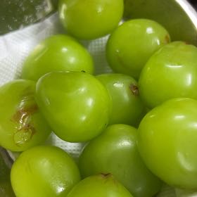 Photo of the plant species Black Bryony by @PoliteCat named Anne on Greg, the plant care app