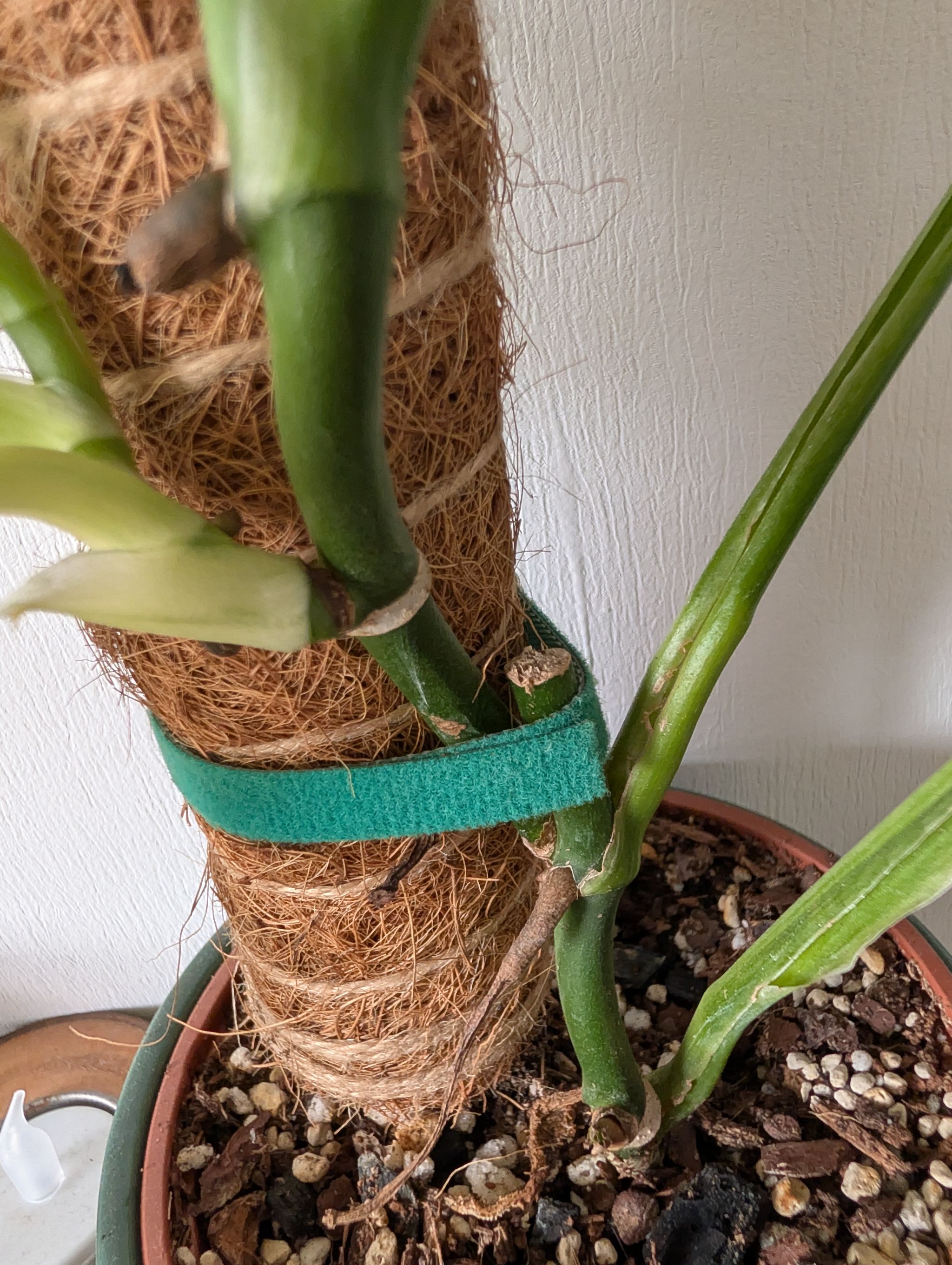 Photo from the post
